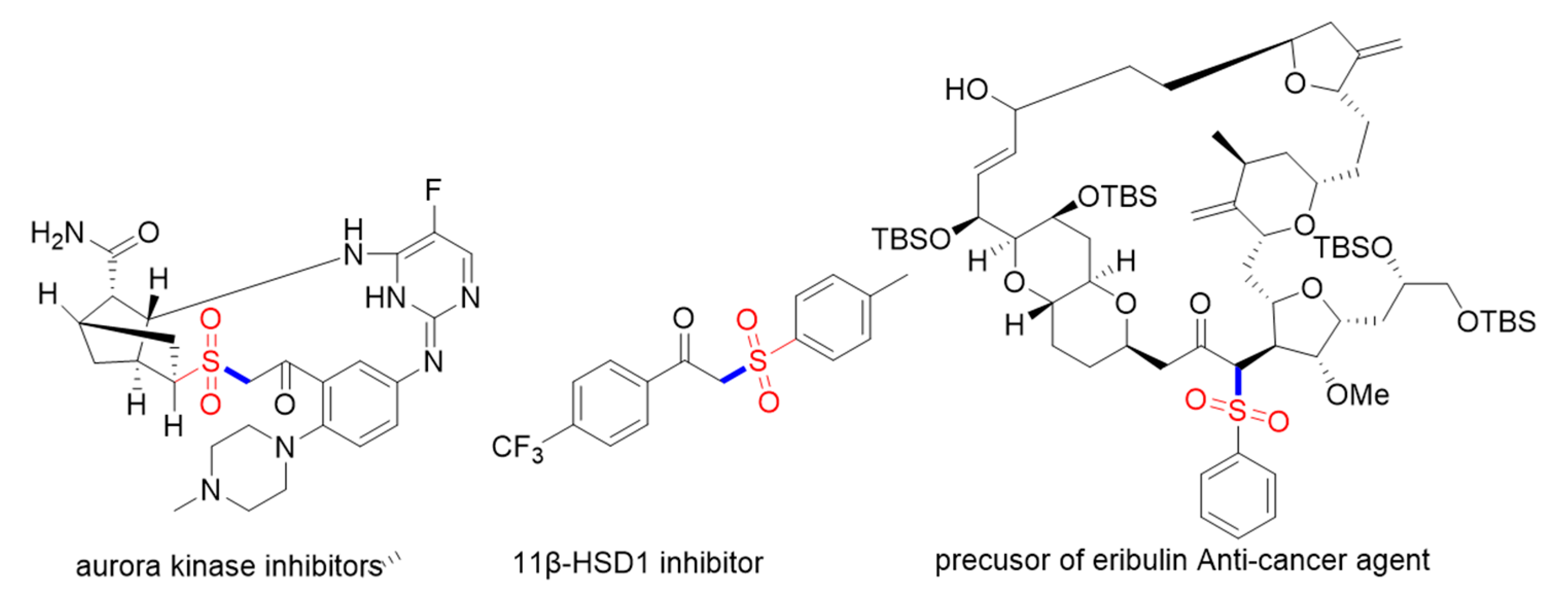 Catalysts 13 00726 g001