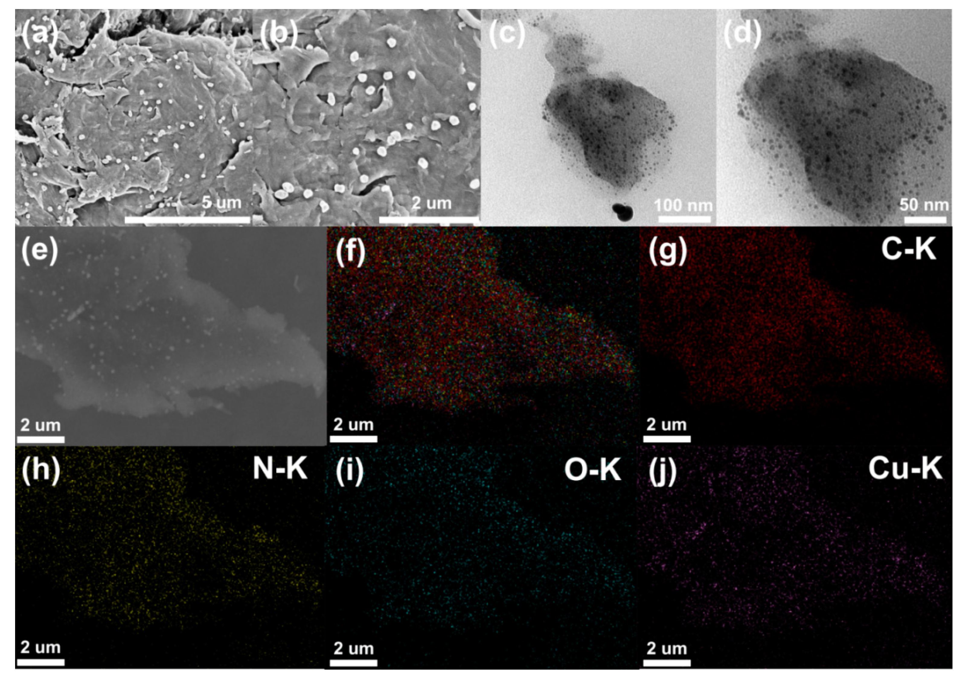 Catalysts 13 00726 g002