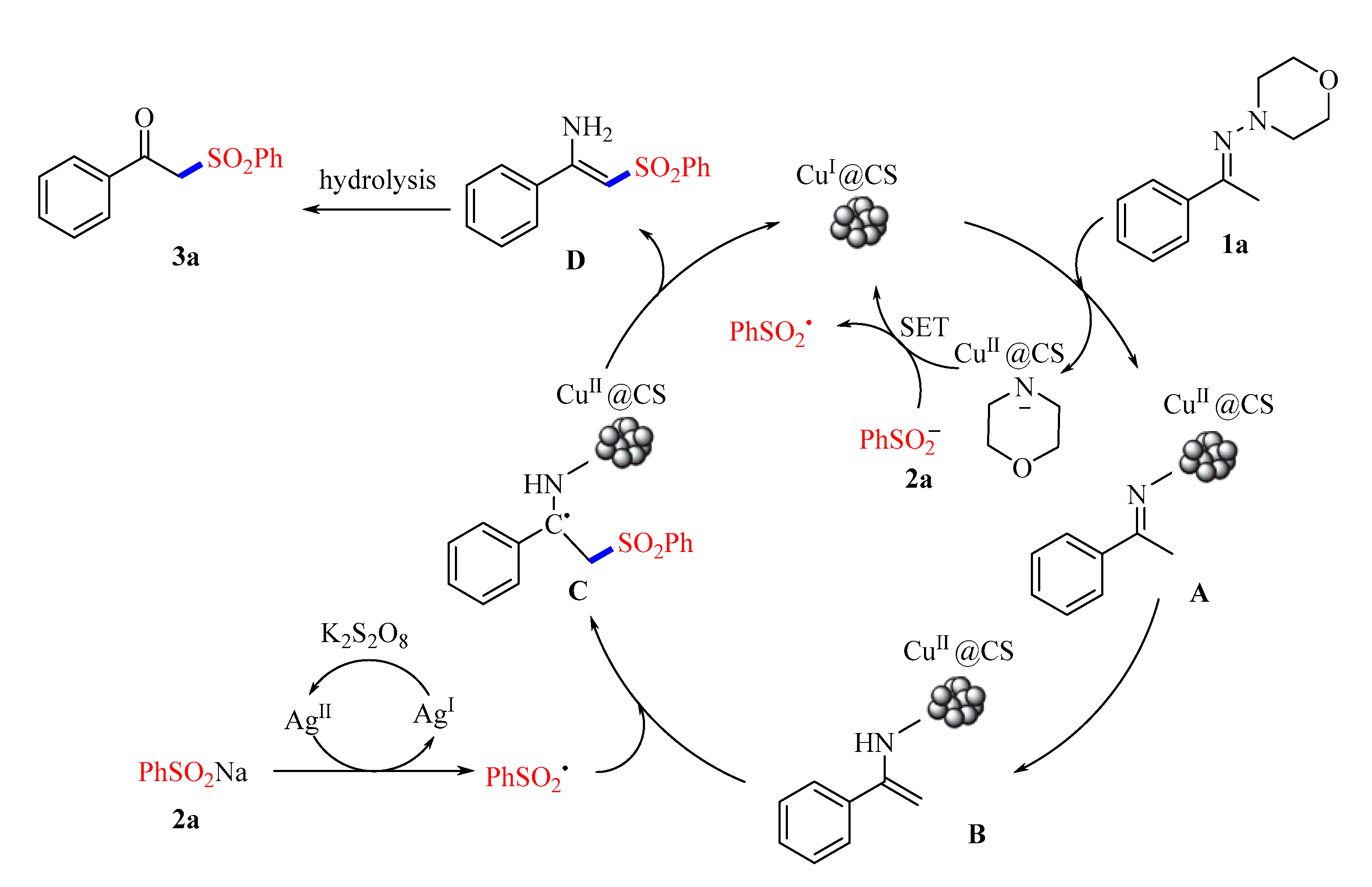 Catalysts 13 00726 sch005
