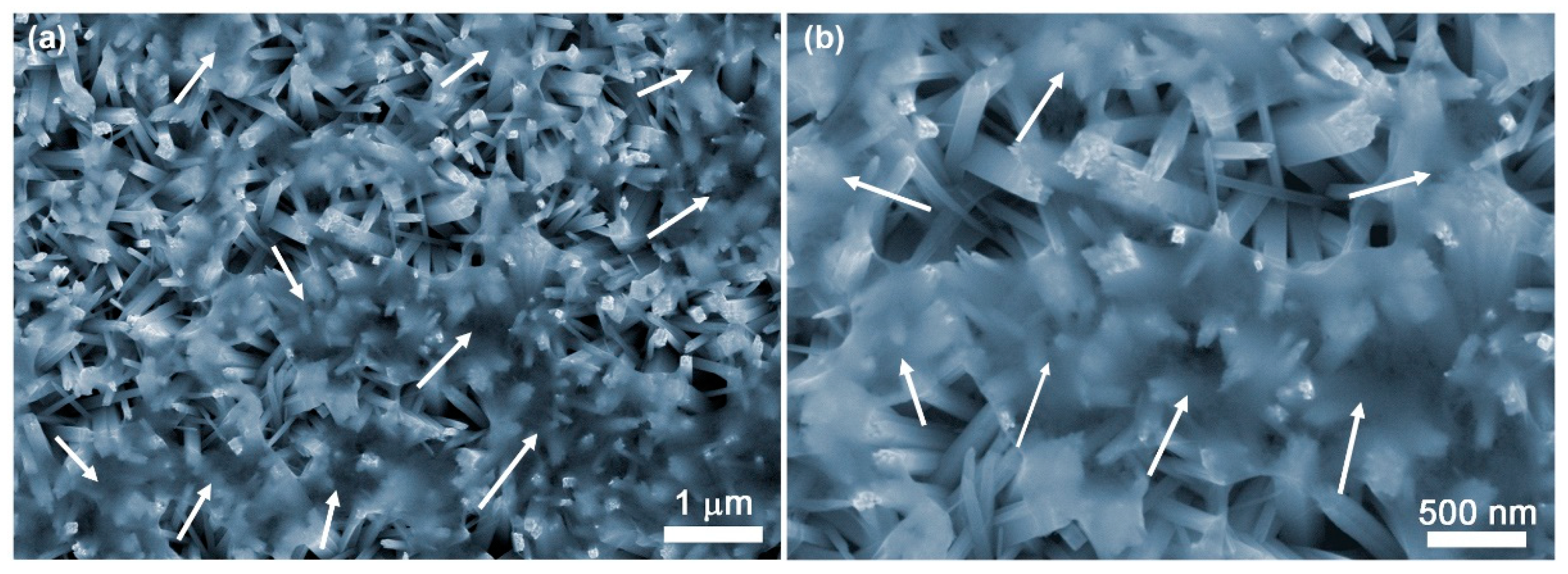 Catalysts 13 00727 g001