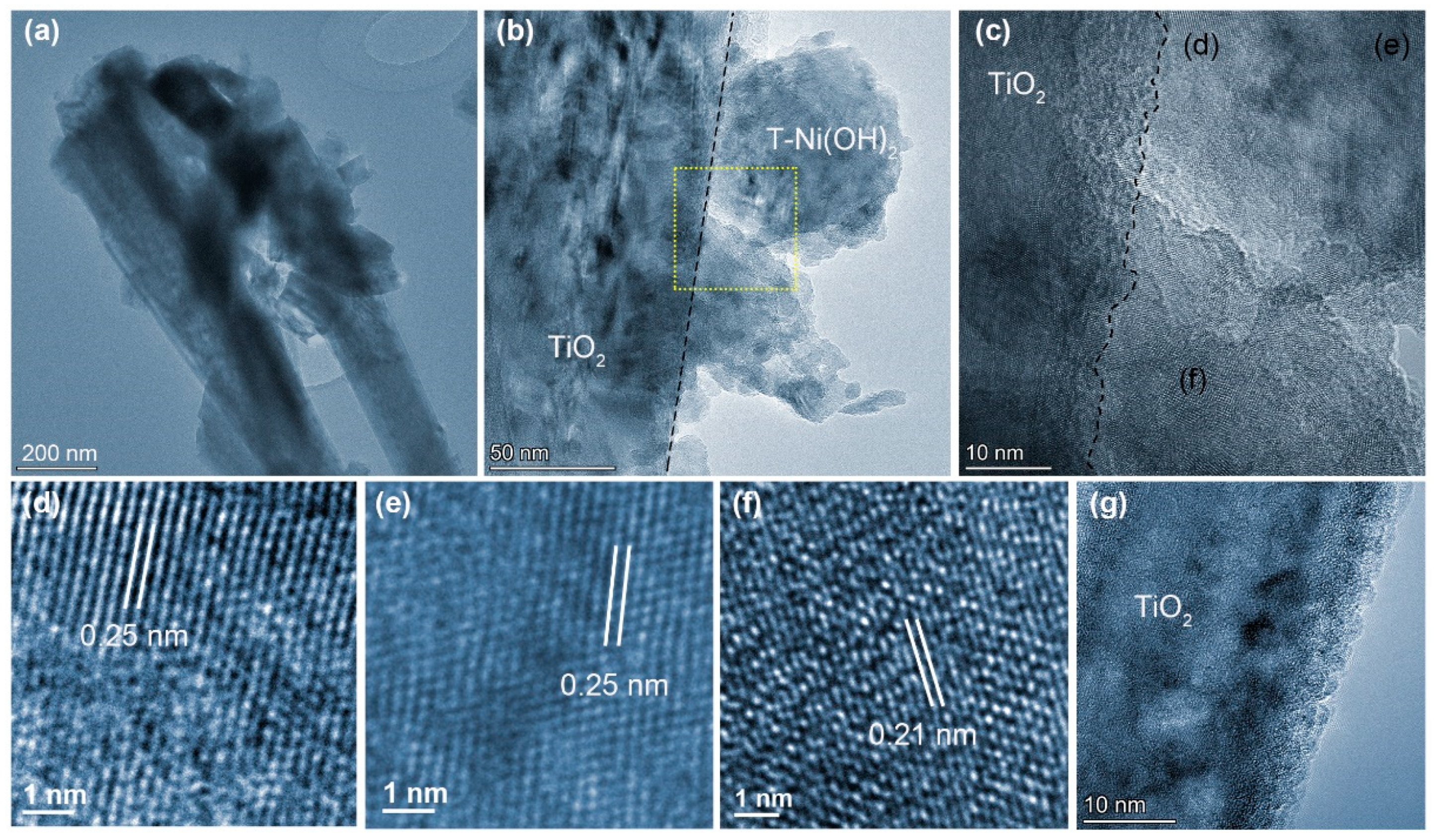 Catalysts 13 00727 g004
