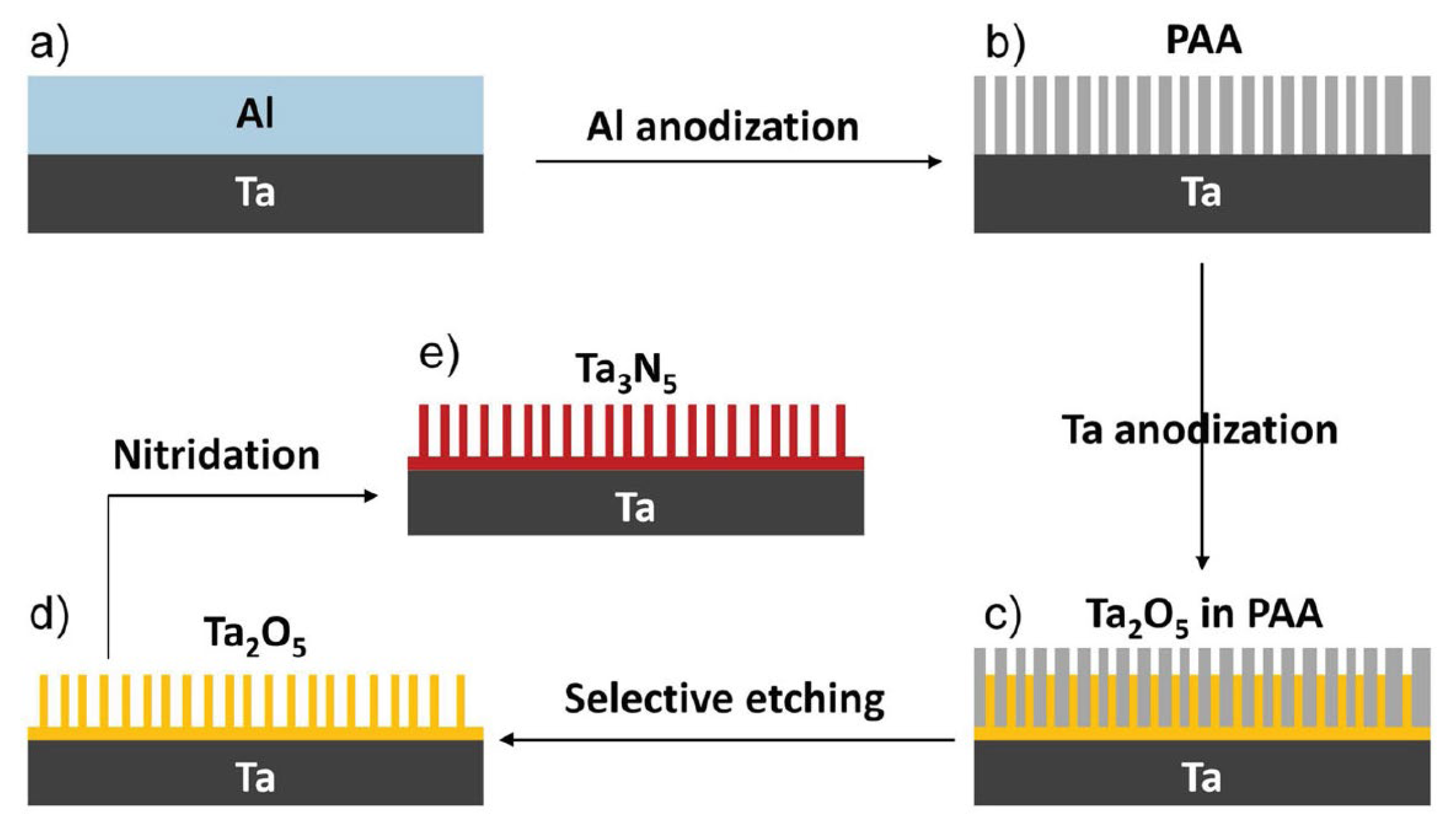 Catalysts 13 00728 g007 Catalysts 13 00728 g007