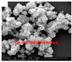 Catalysts 13 00734 i010