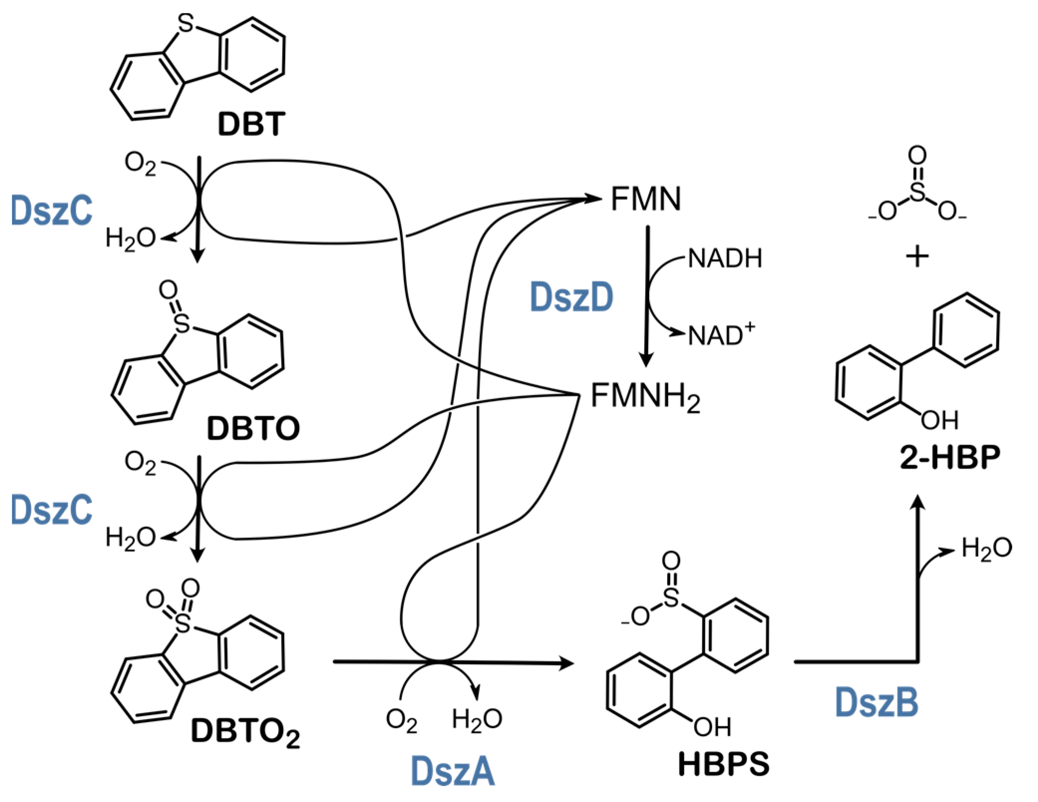 Catalysts 13 00736 g001