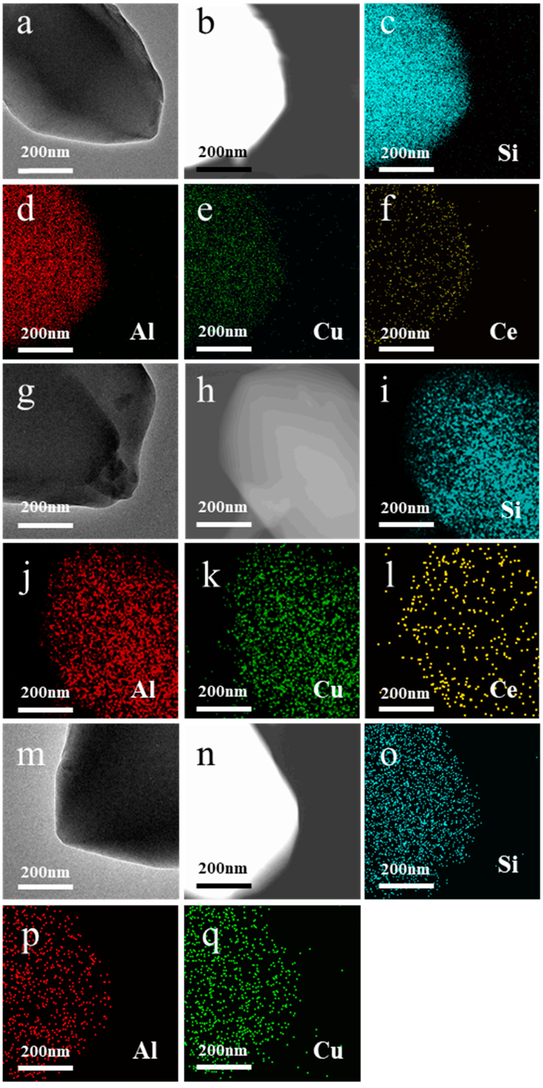 Catalysts 13 00742 g005 Catalysts 13 00742 g005