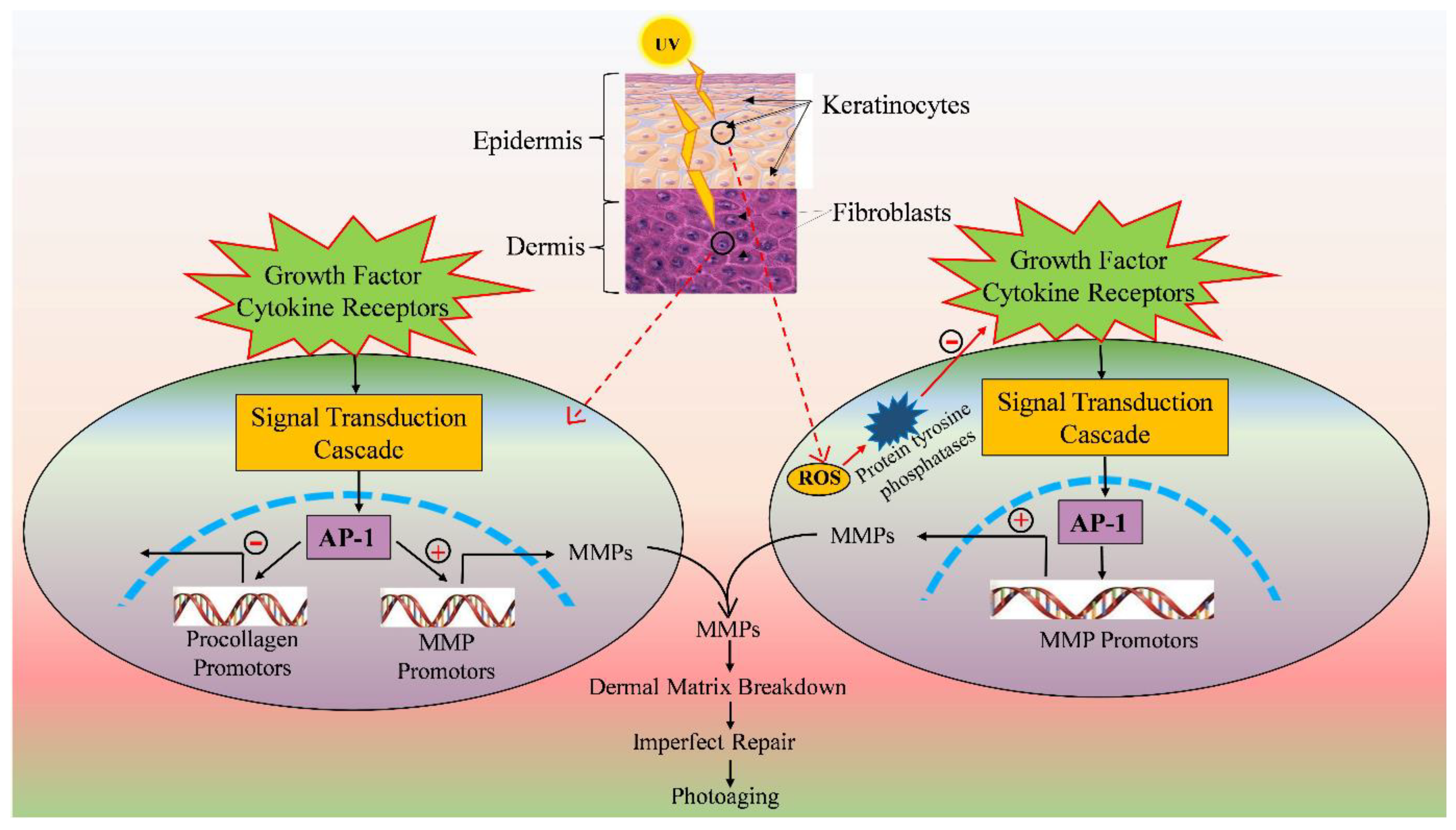 Catalysts 13 00745 g002 Catalysts 13 00745 g002