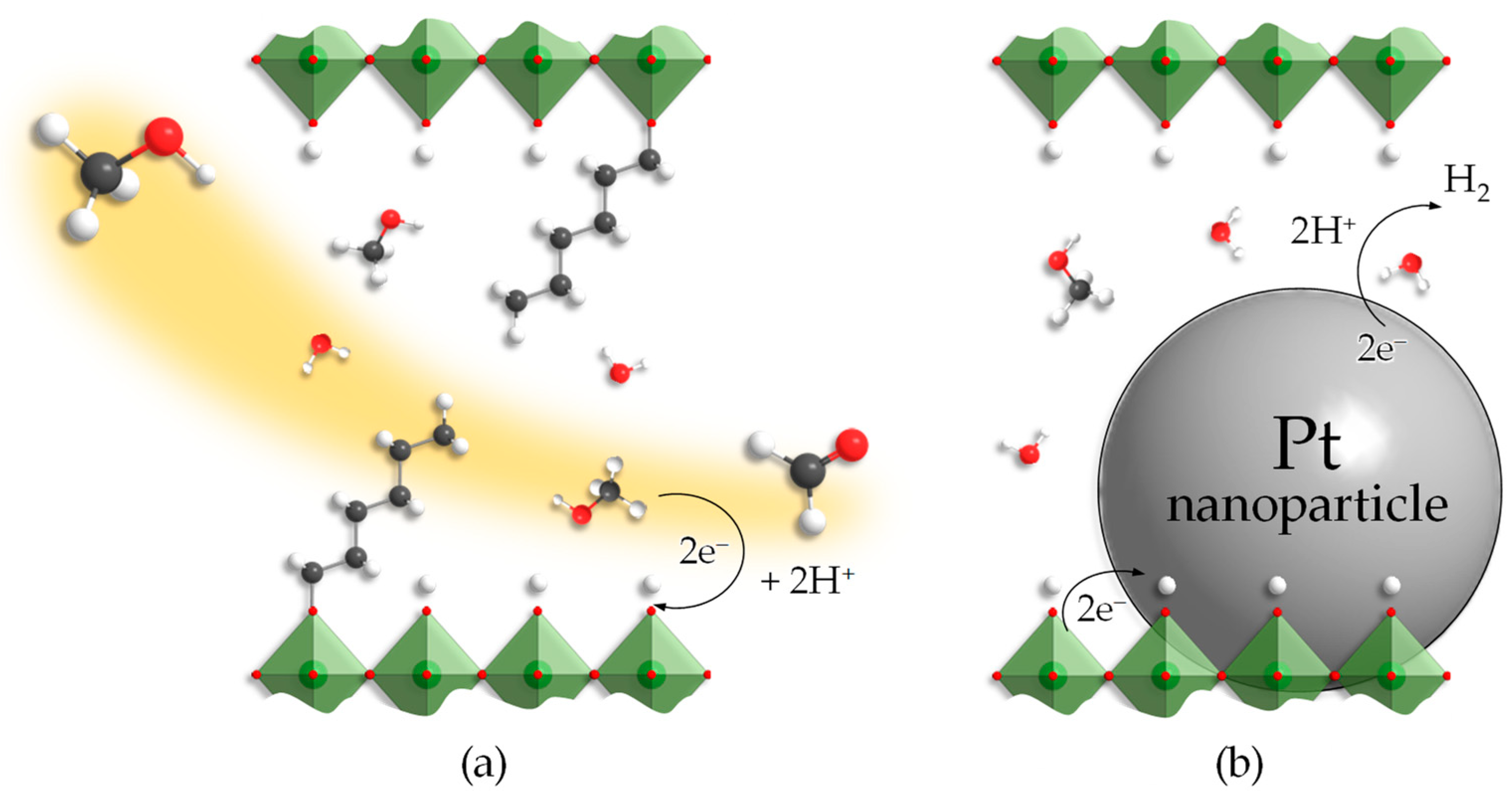 Catalysts 13 00749 g008