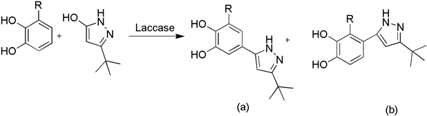 Catalysts 13 00750 i038 Catalysts 13 00750 i038
