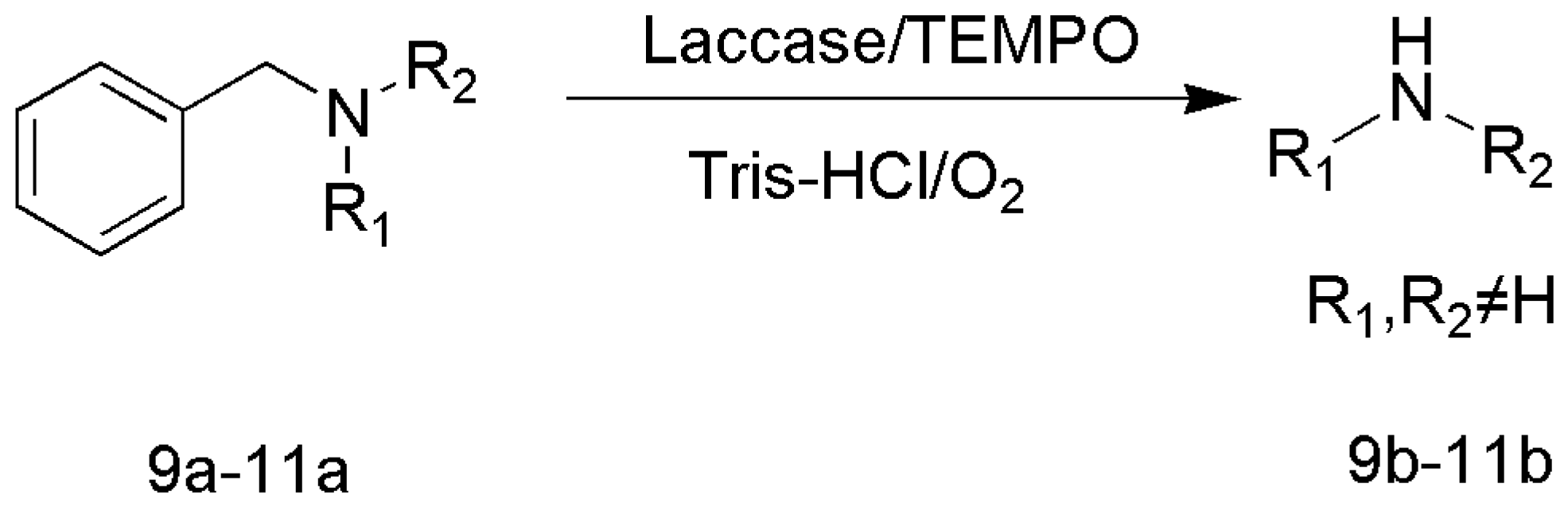 Catalysts 13 00750 sch003 Catalysts 13 00750 sch003
