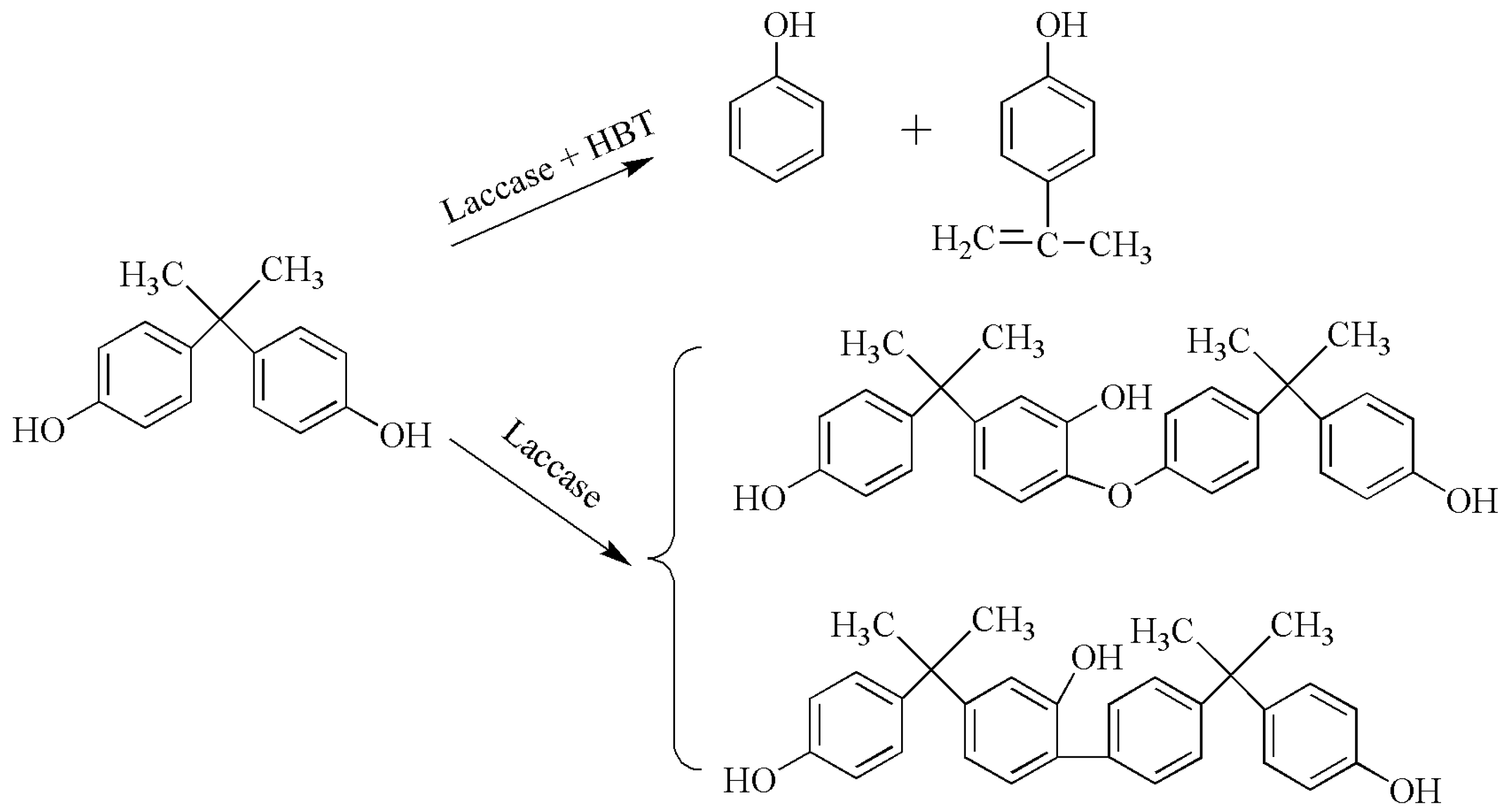 Catalysts 13 00750 sch004 Catalysts 13 00750 sch004