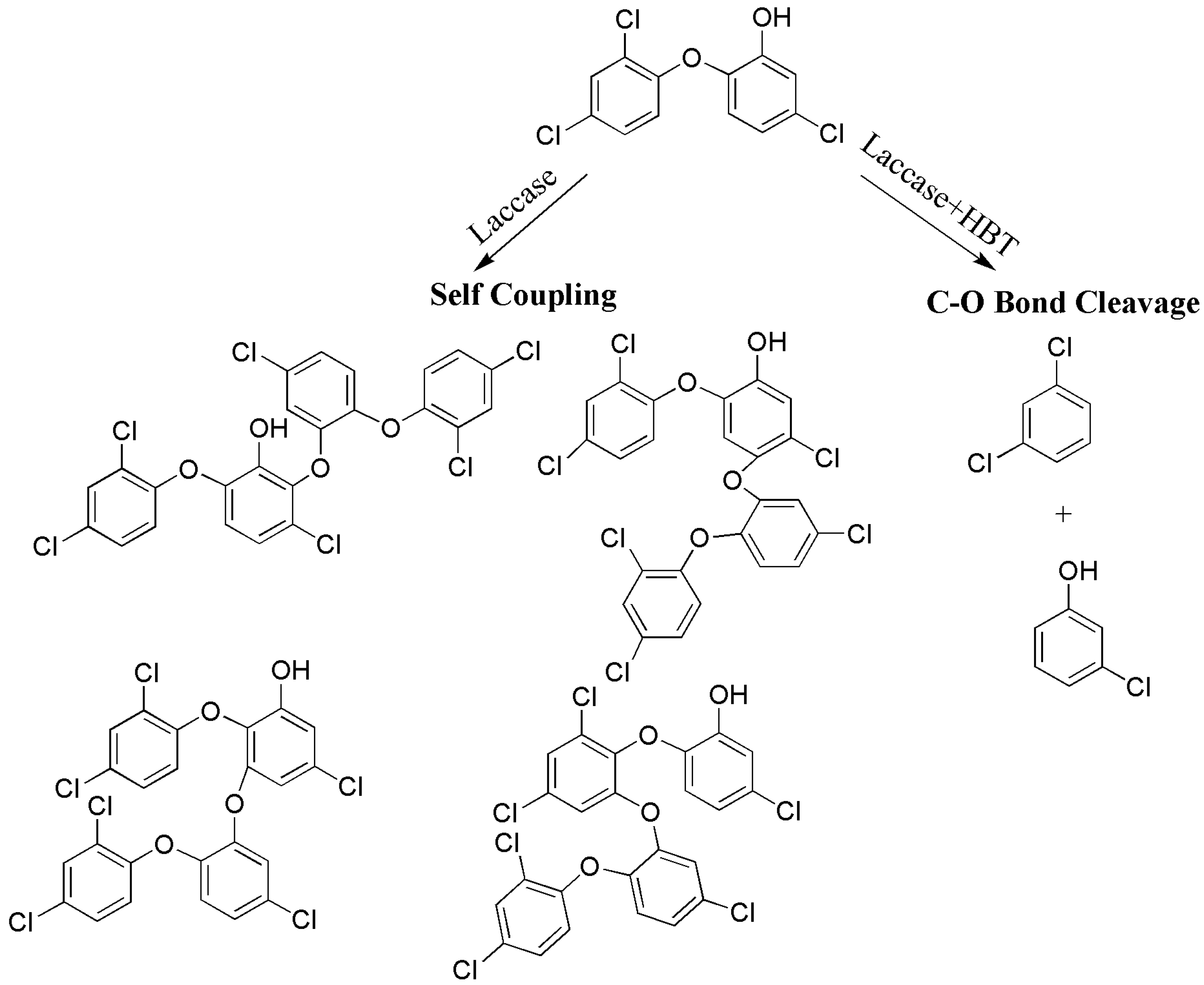 Catalysts 13 00750 sch005 Catalysts 13 00750 sch005