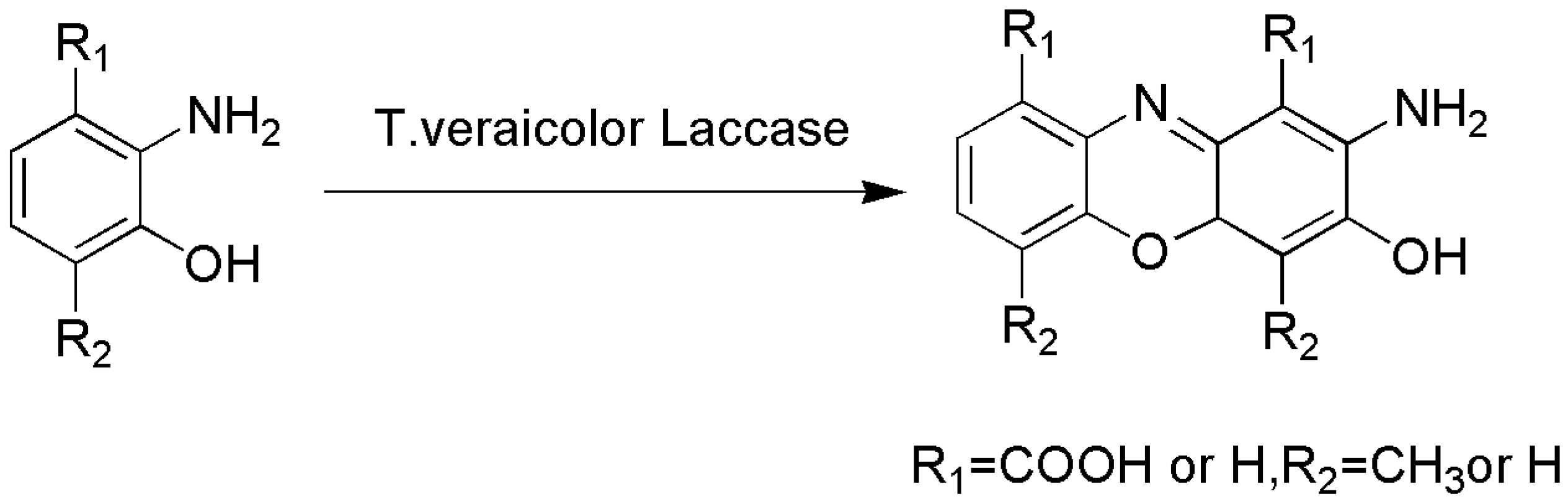Catalysts 13 00750 sch006 Catalysts 13 00750 sch006