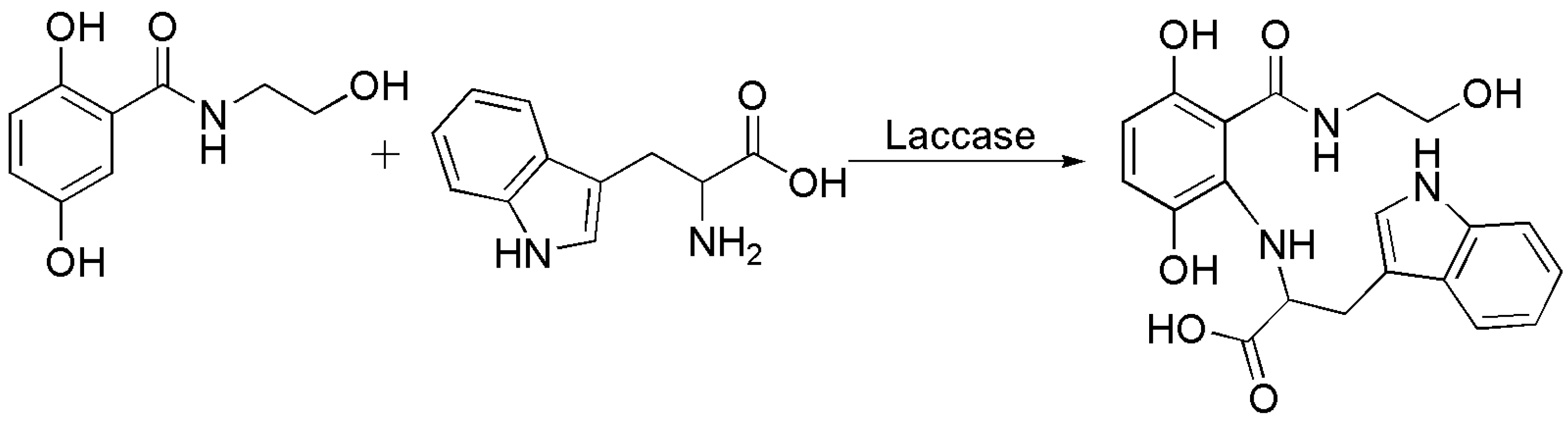Catalysts 13 00750 sch009 Catalysts 13 00750 sch009
