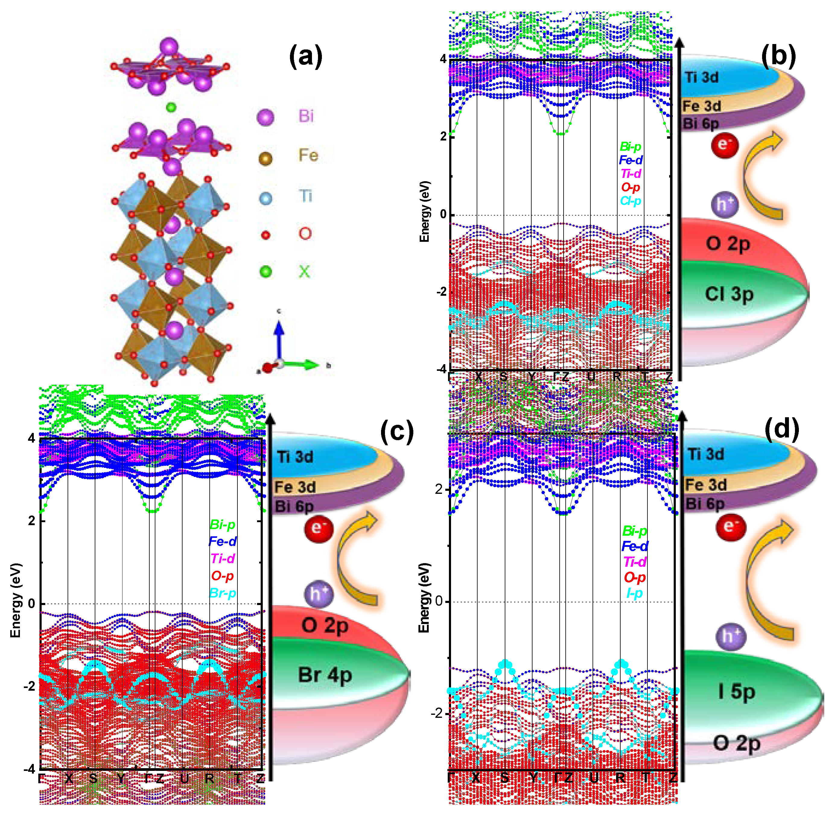 Catalysts 13 00751 g001