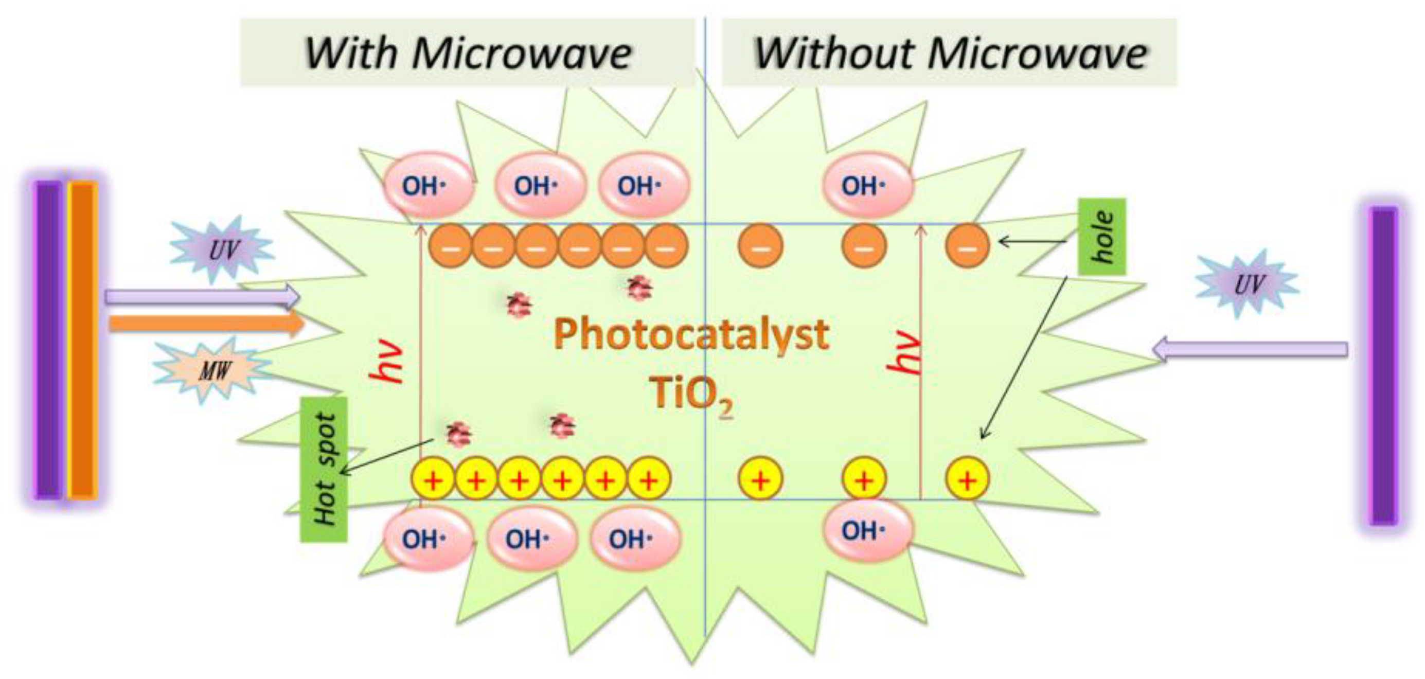 Catalysts 13 00754 g004