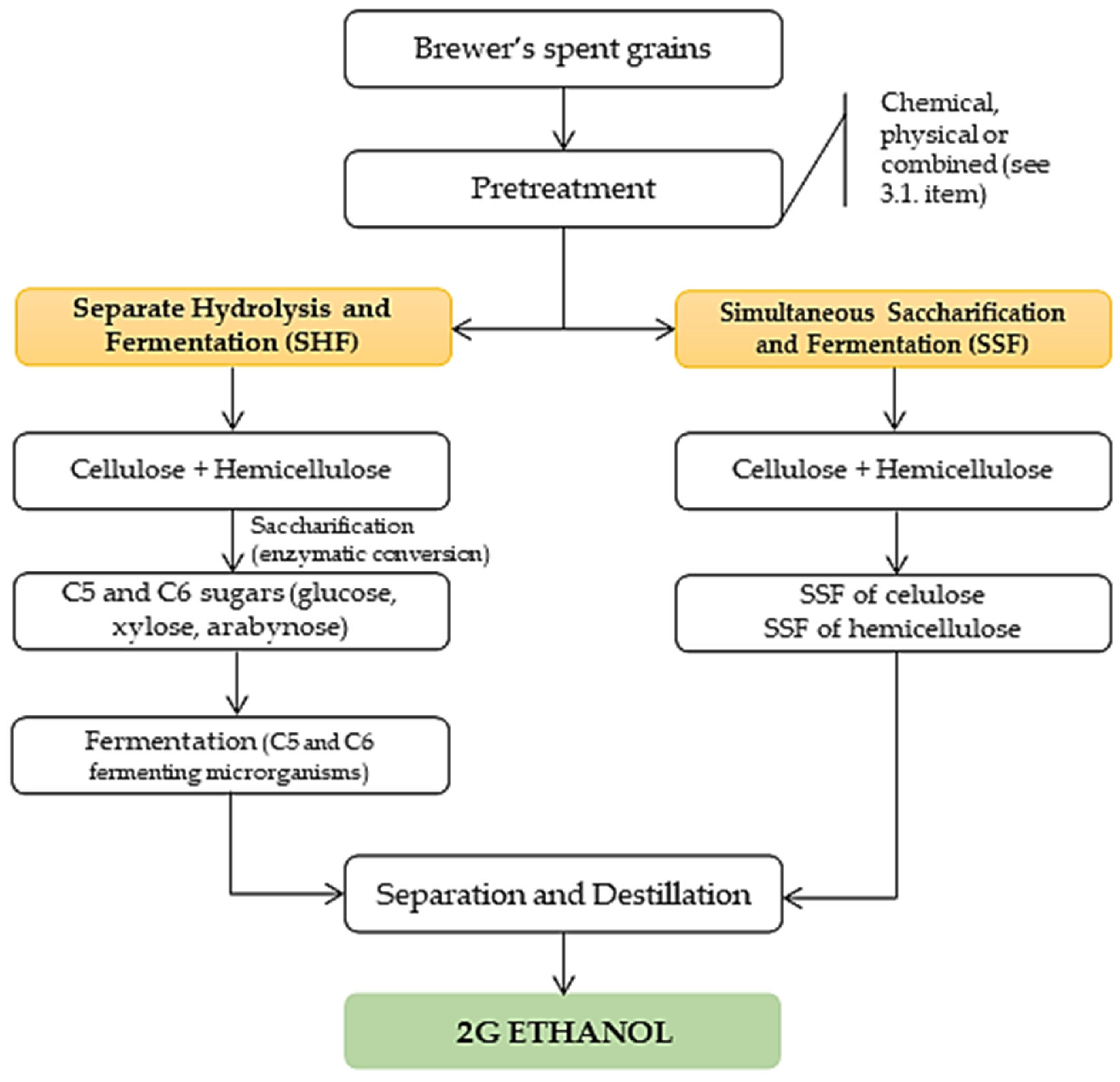 Catalysts 13 00755 g005 Catalysts 13 00755 g005