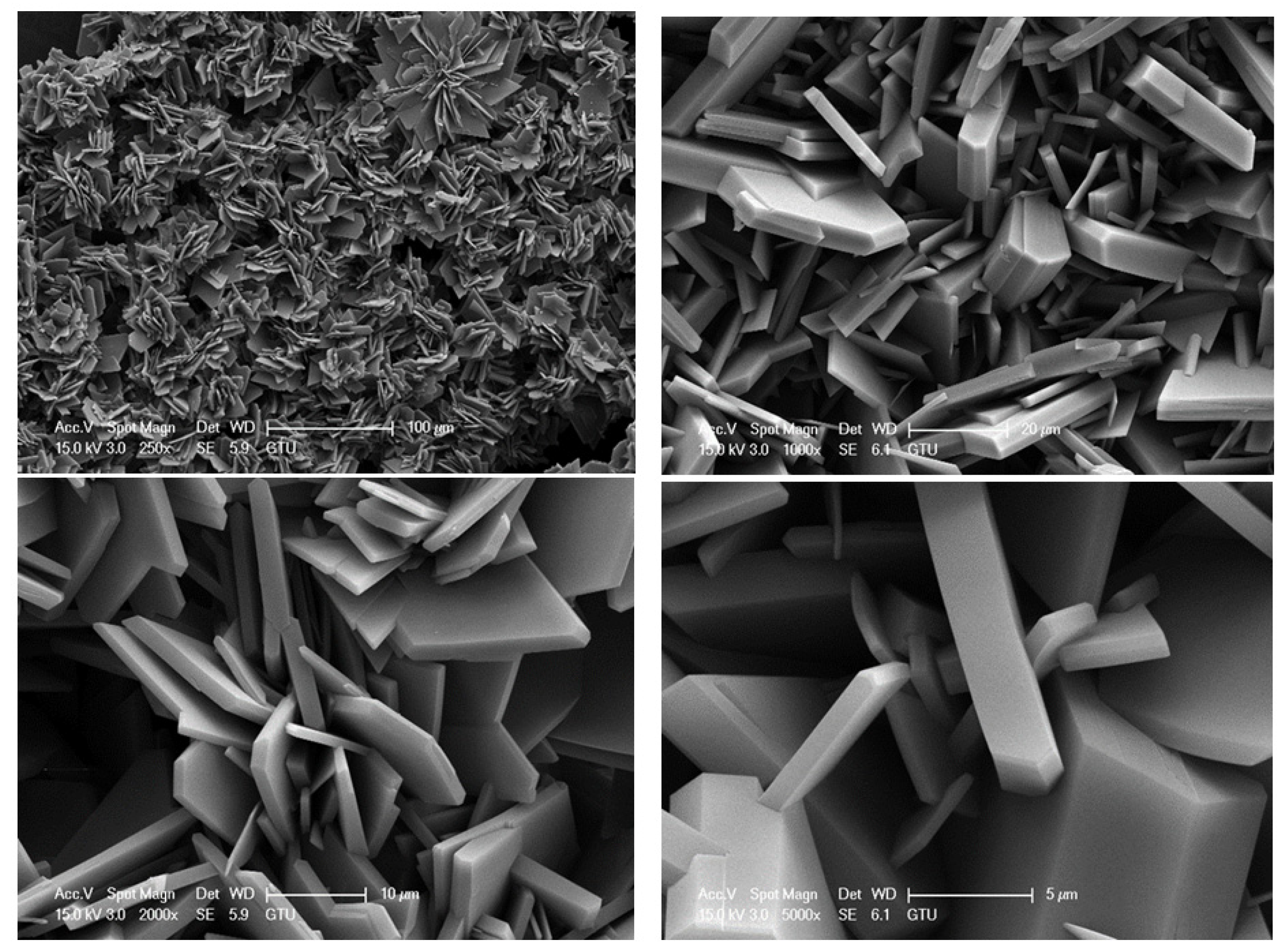 Catalysts 13 00756 g002 Catalysts 13 00756 g002