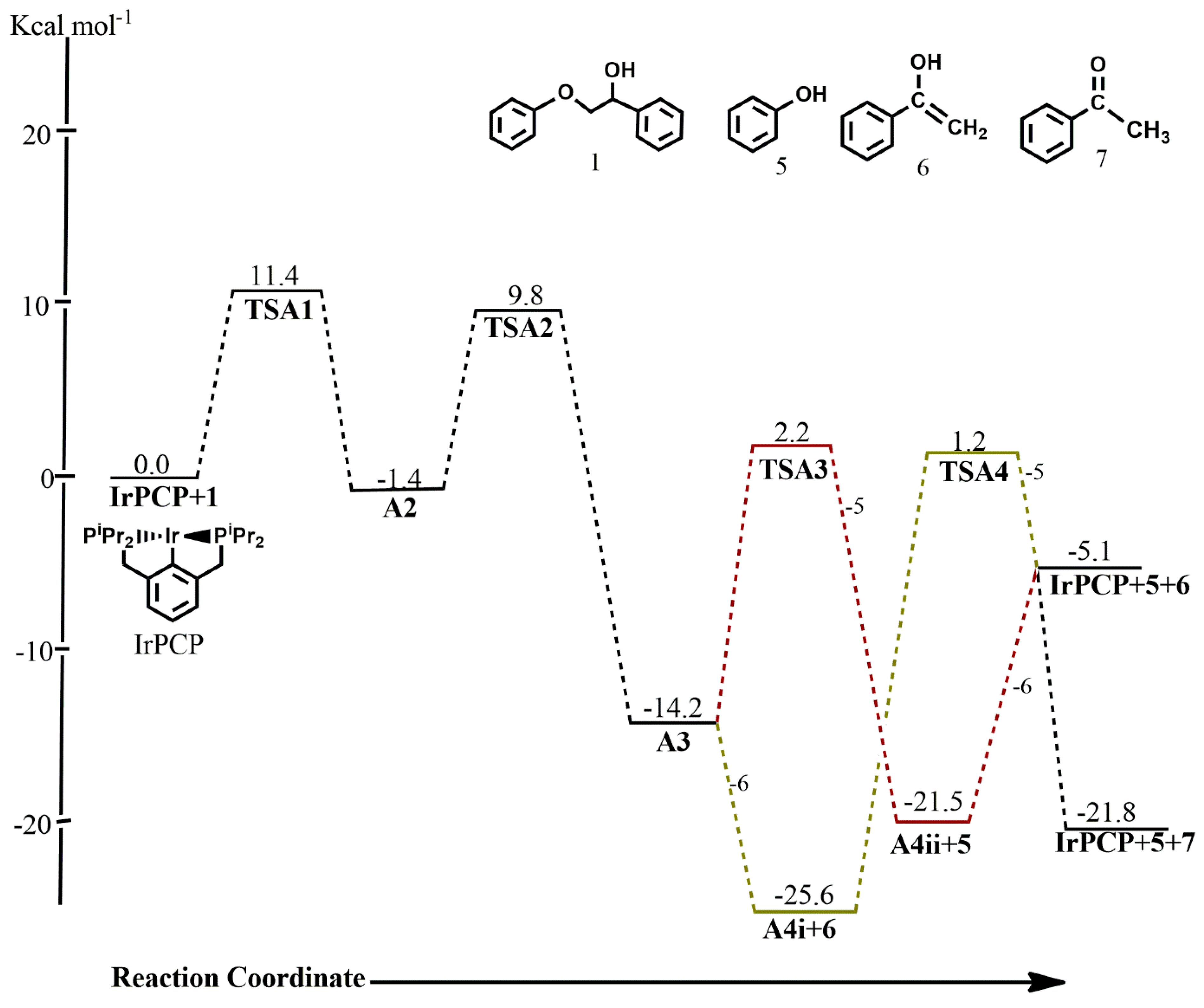 Catalysts 13 00757 g002
