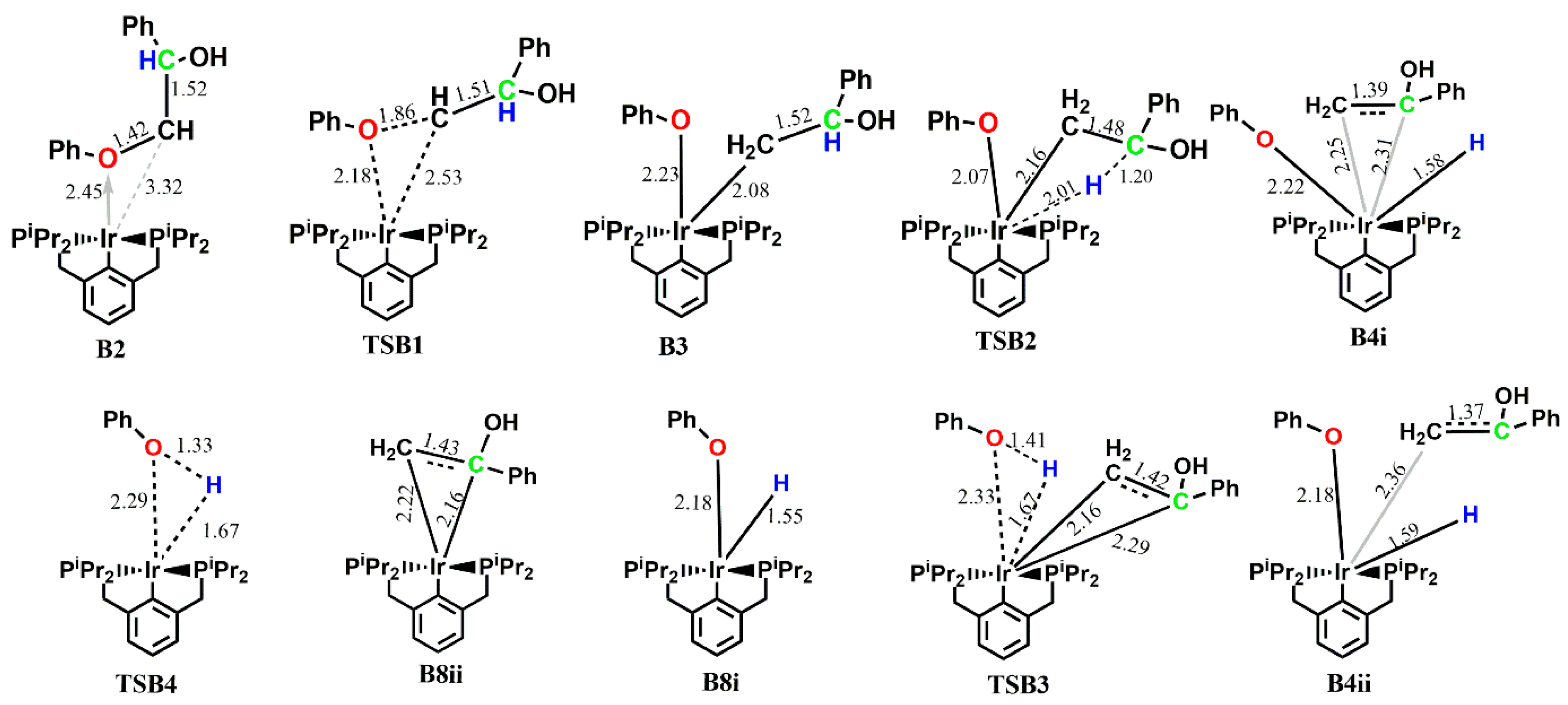 Catalysts 13 00757 g003
