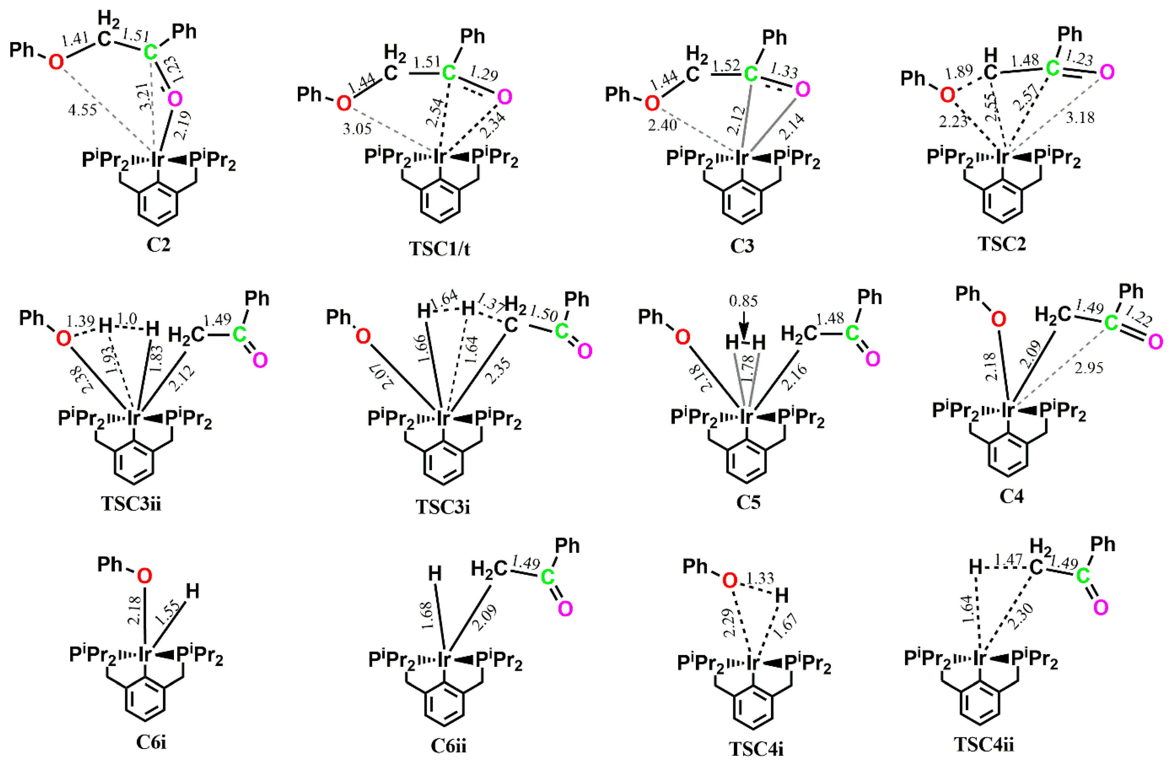 Catalysts 13 00757 g005