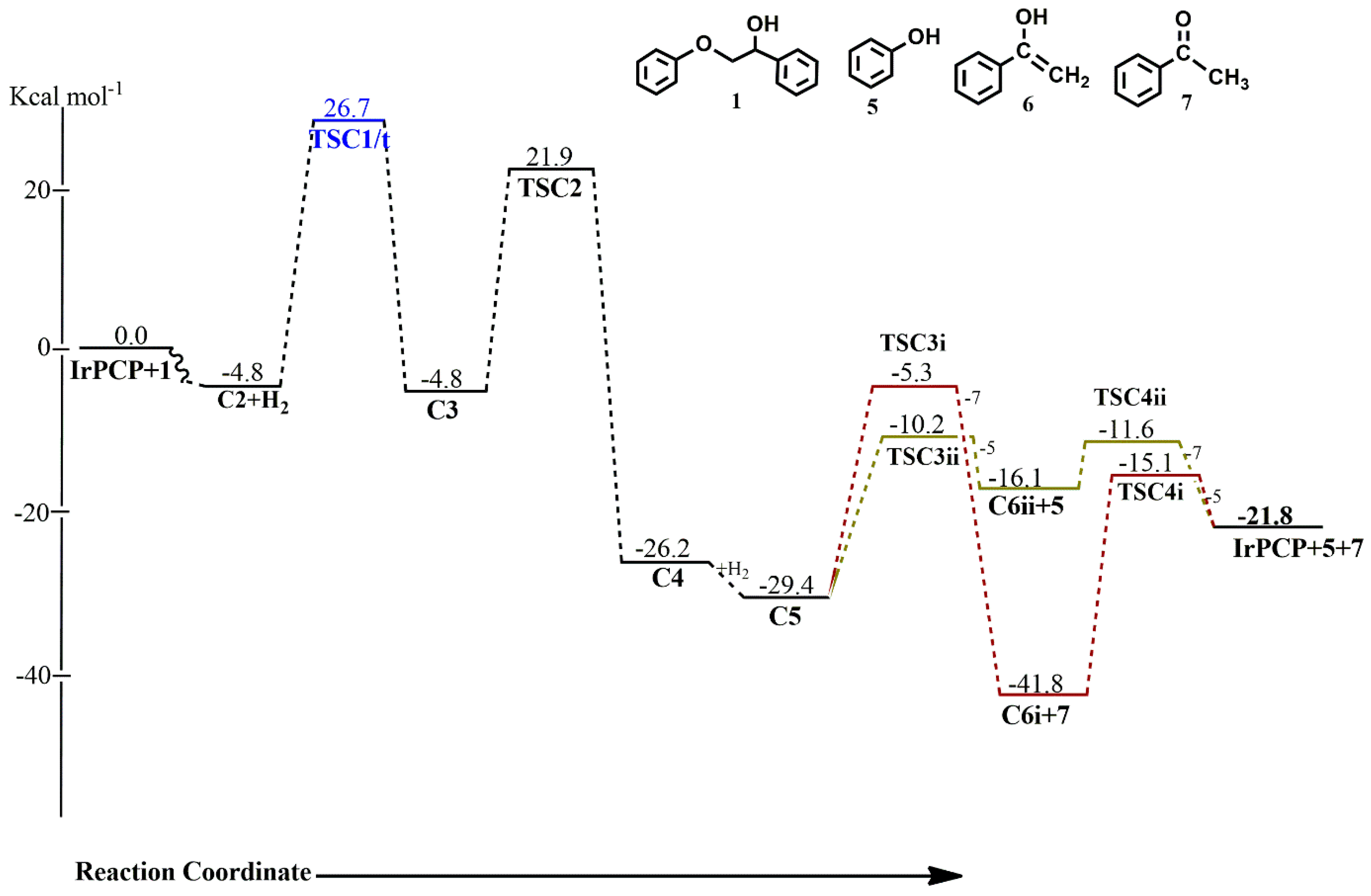 Catalysts 13 00757 g006