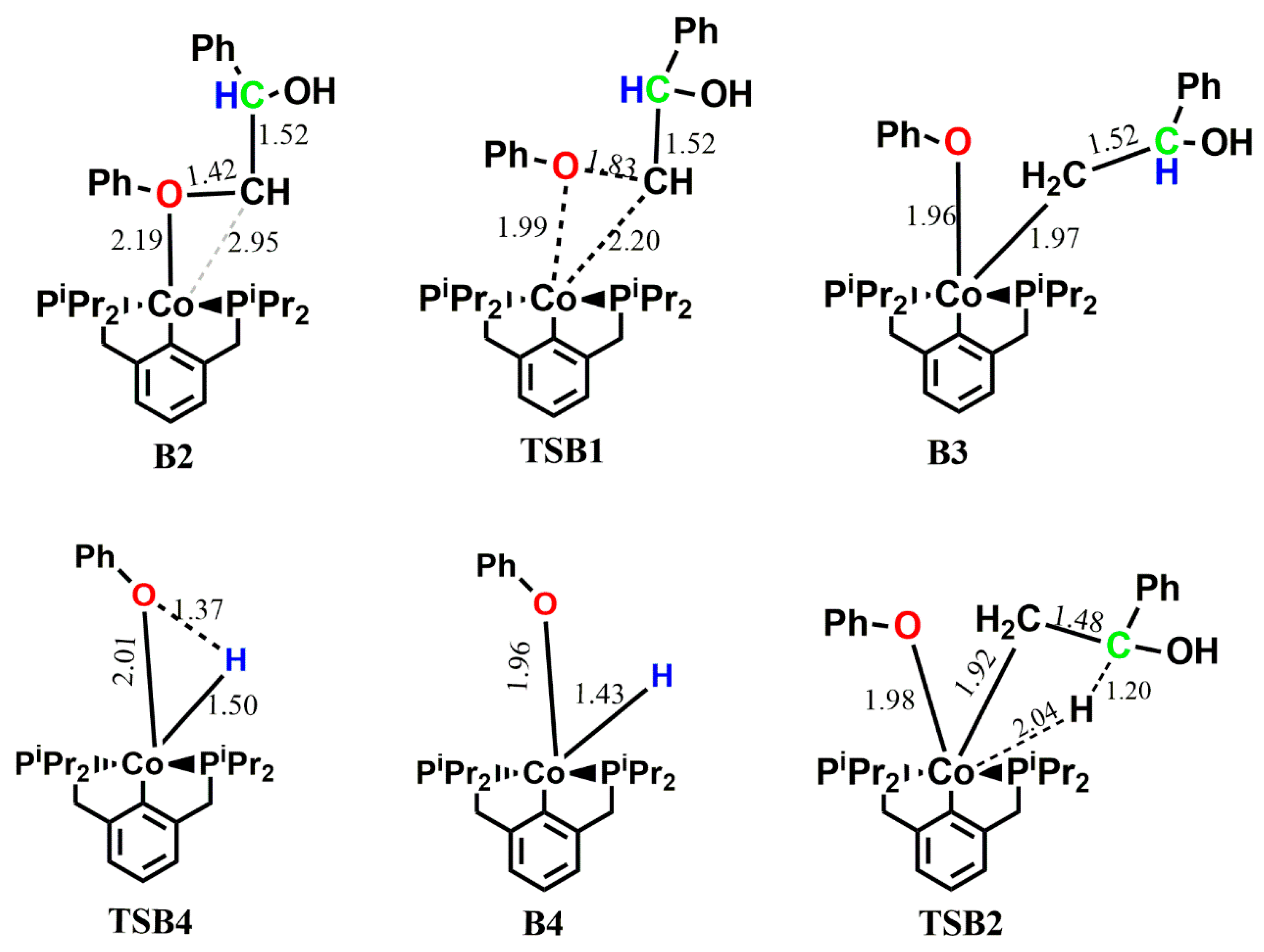 Catalysts 13 00757 g009