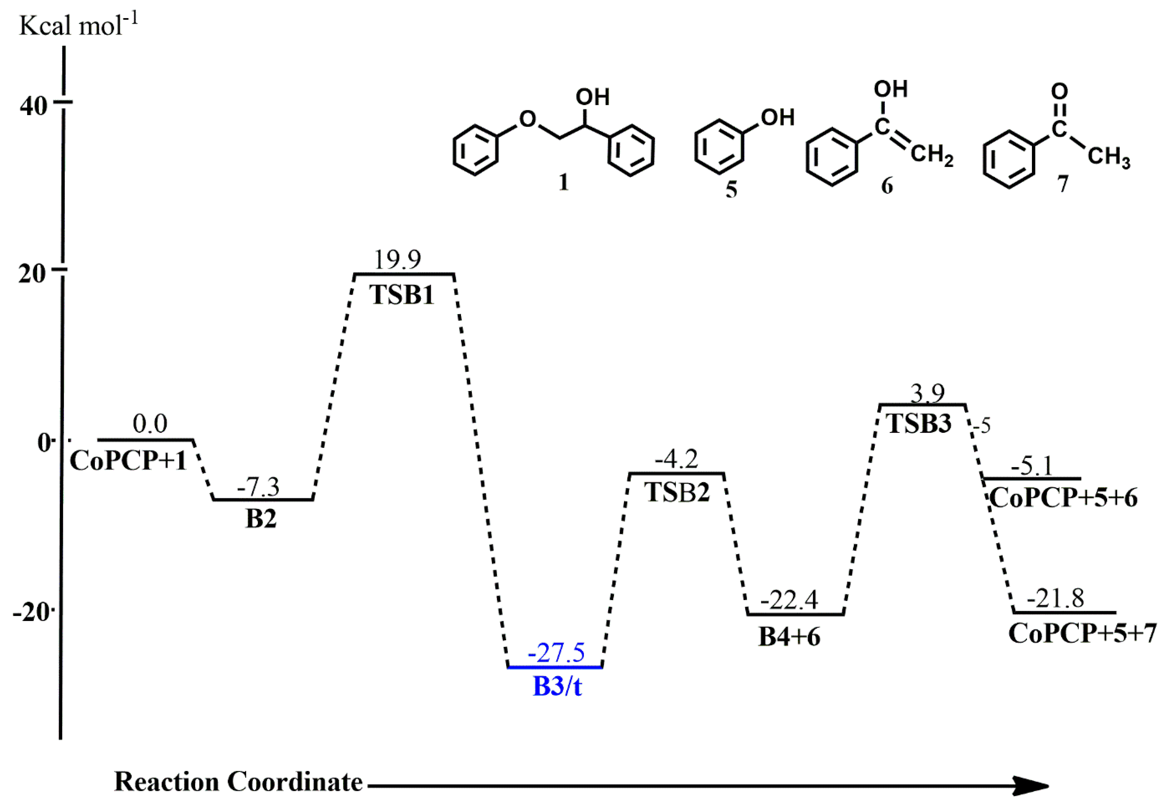 Catalysts 13 00757 g010