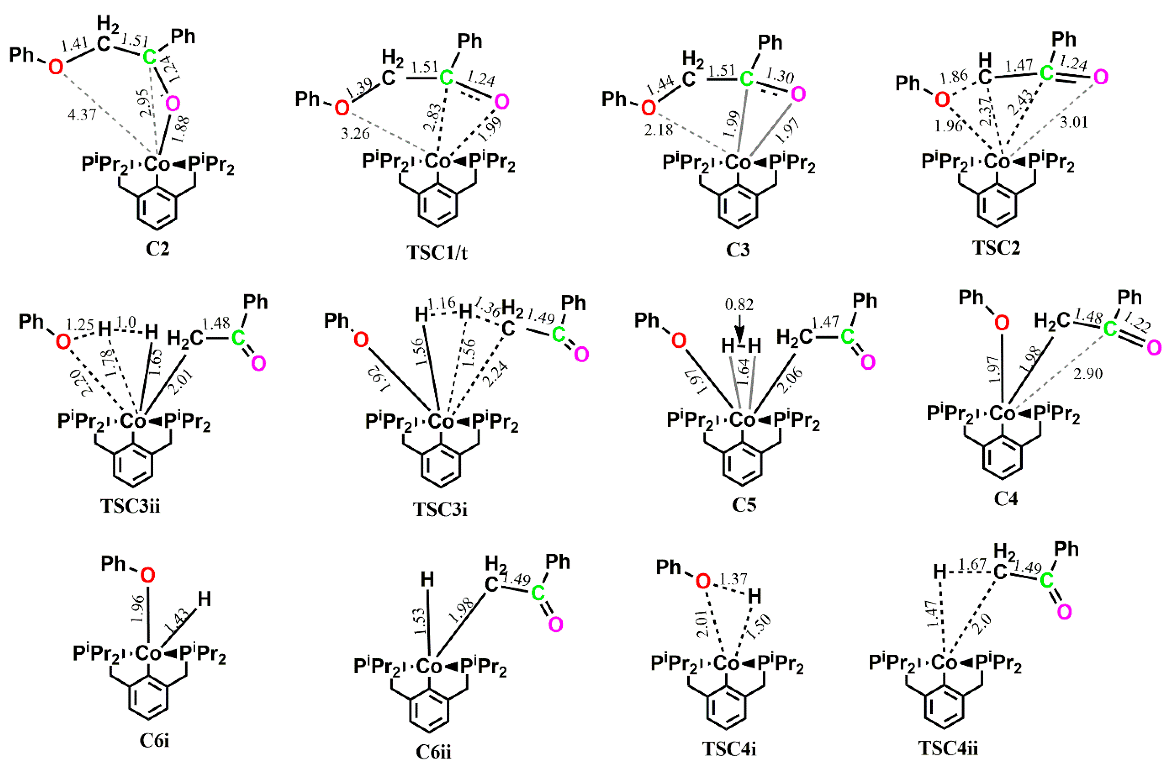 Catalysts 13 00757 g011