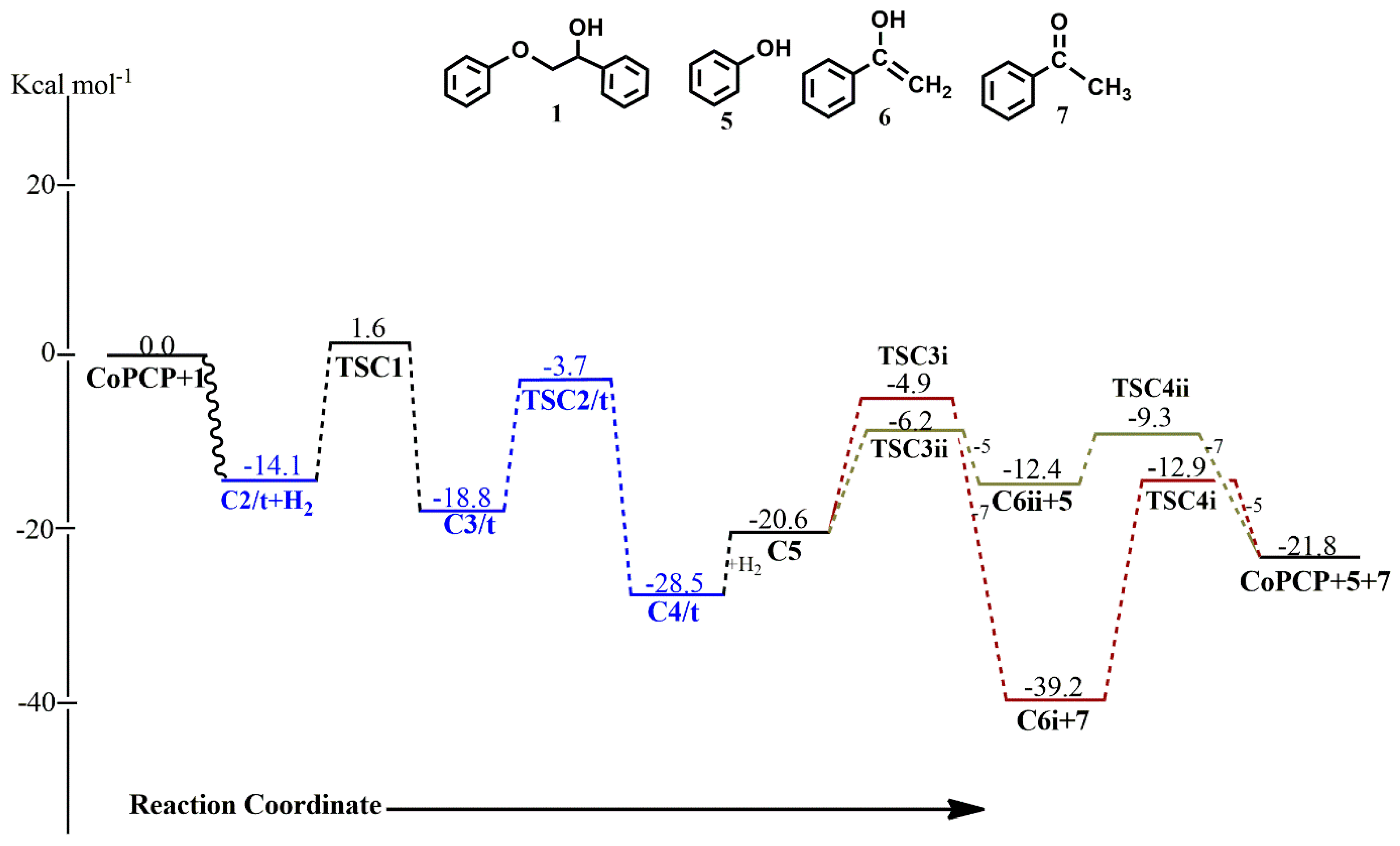 Catalysts 13 00757 g012