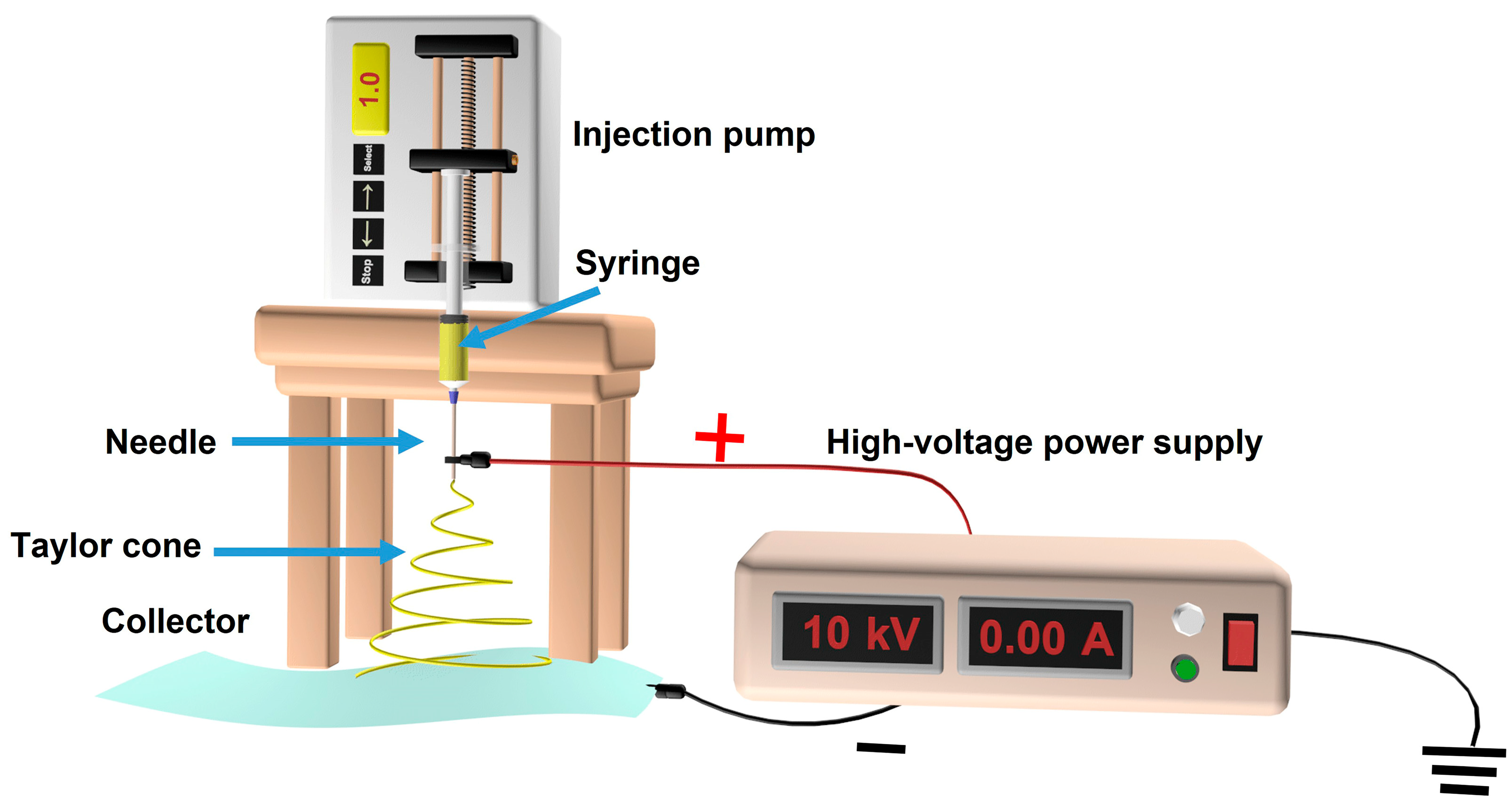 Catalysts 13 00758 g002