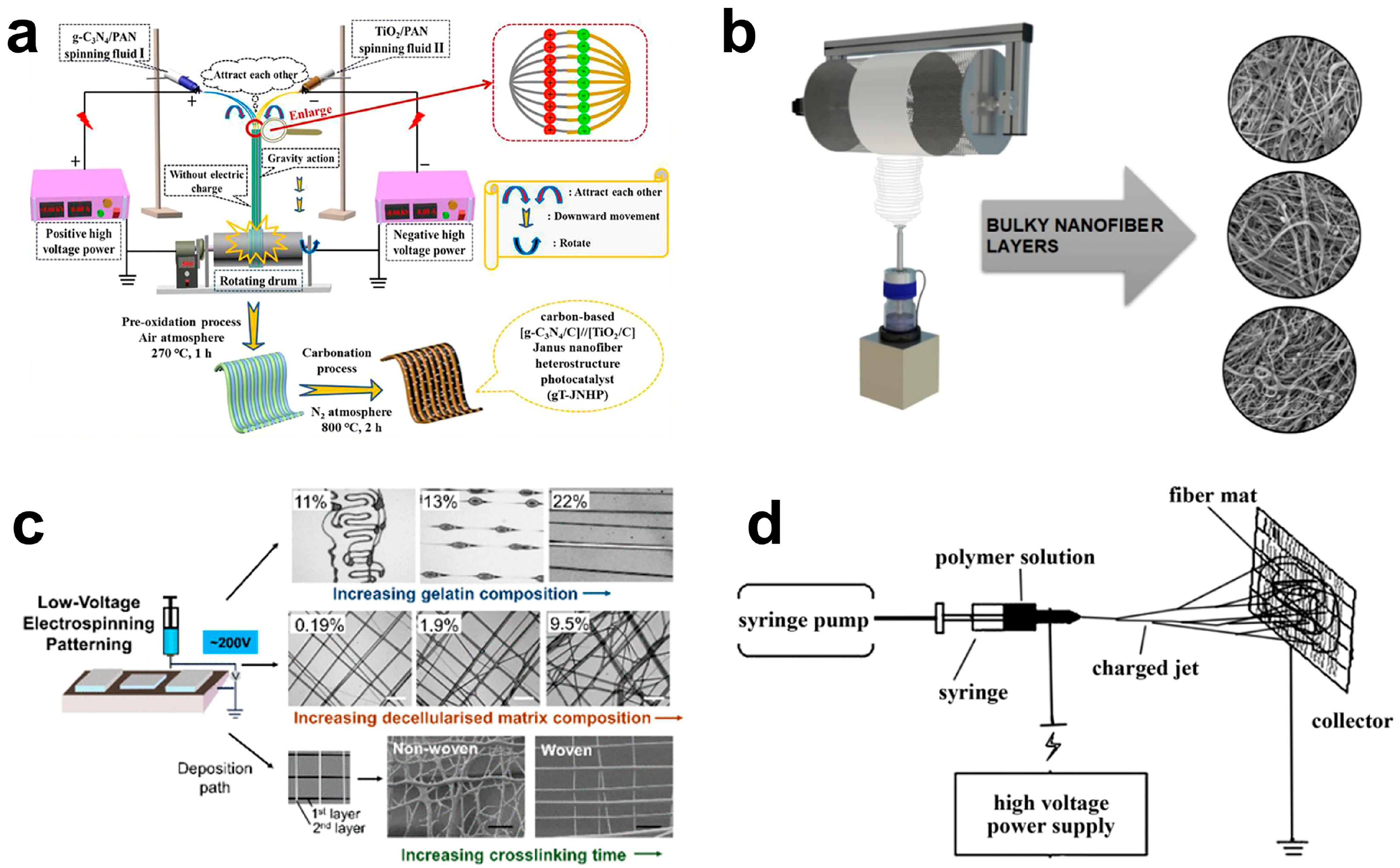 Catalysts 13 00758 g003