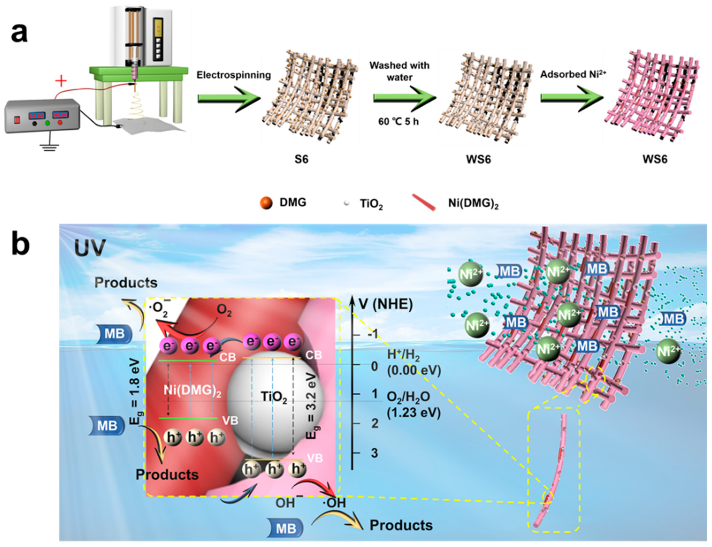 Catalysts 13 00758 g006