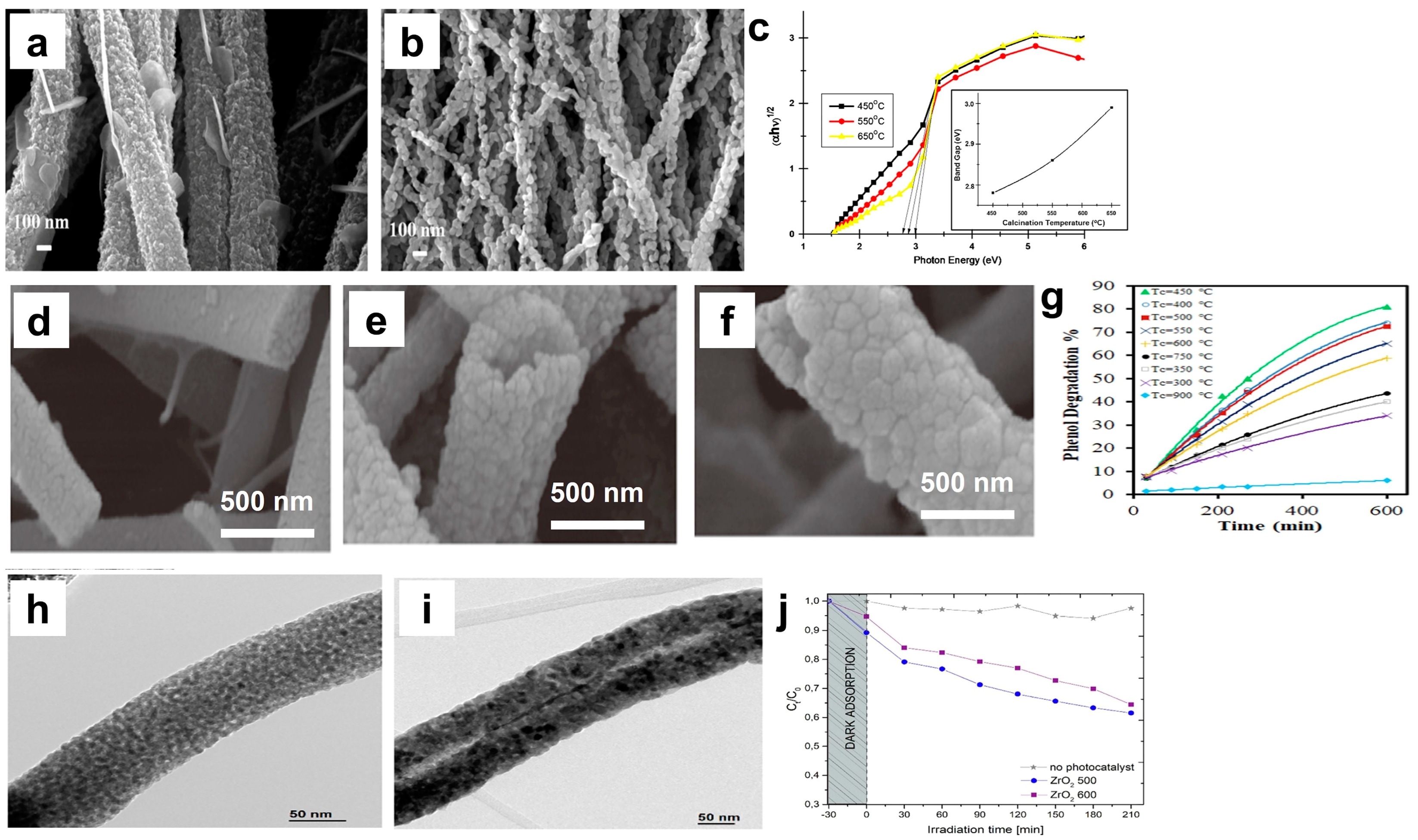 Catalysts 13 00758 g007