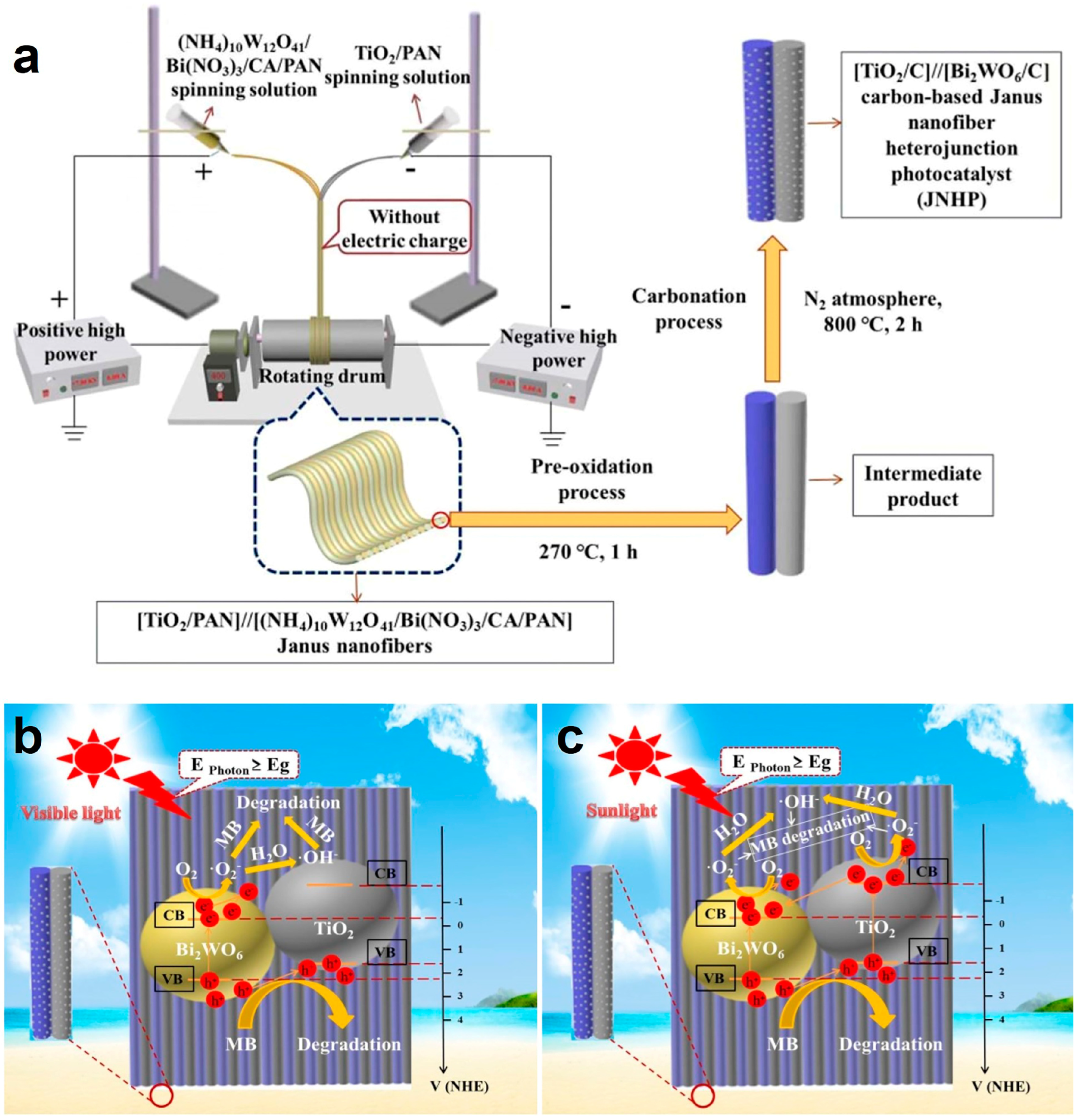 Catalysts 13 00758 g011