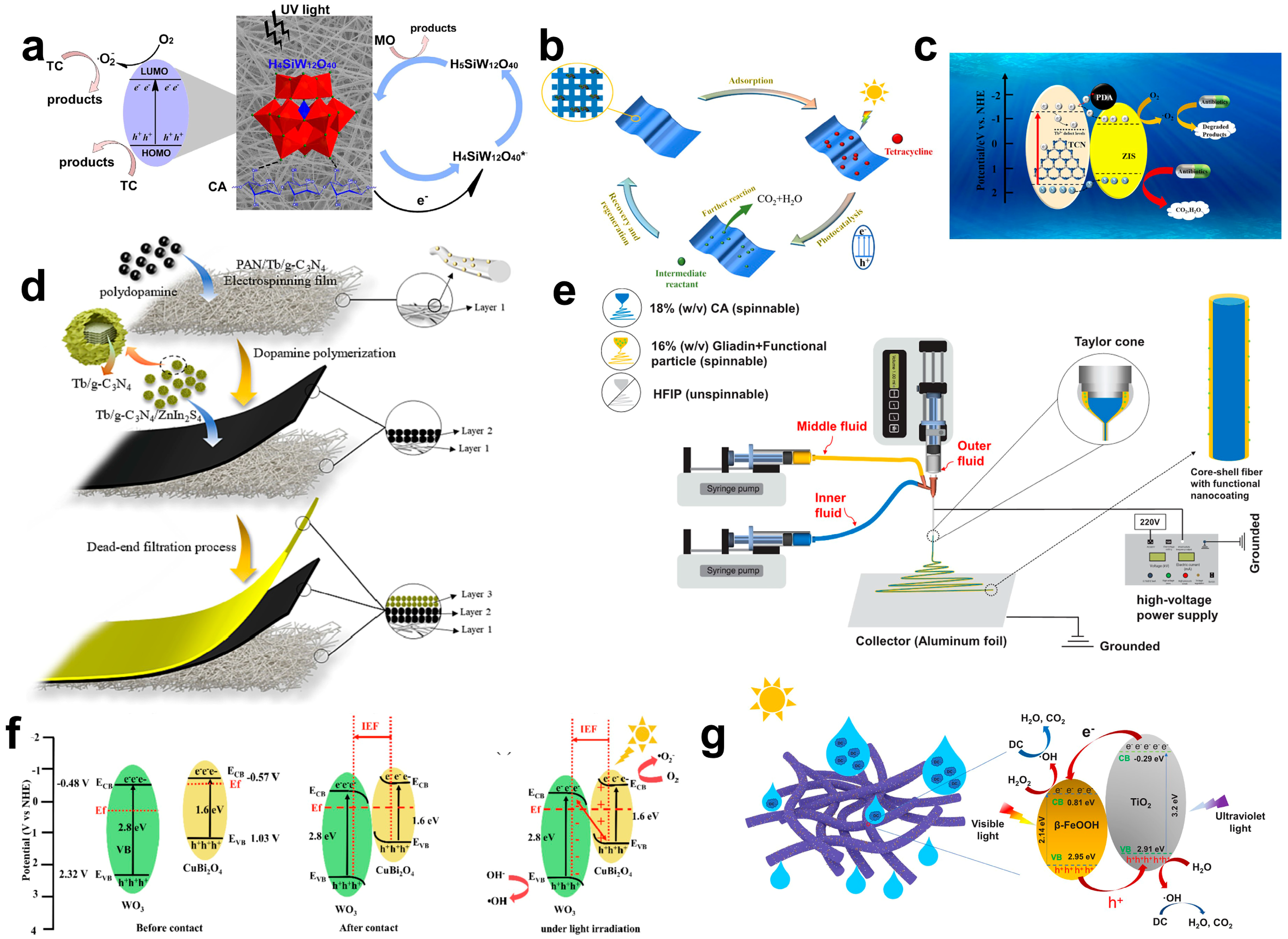 Catalysts 13 00758 g012