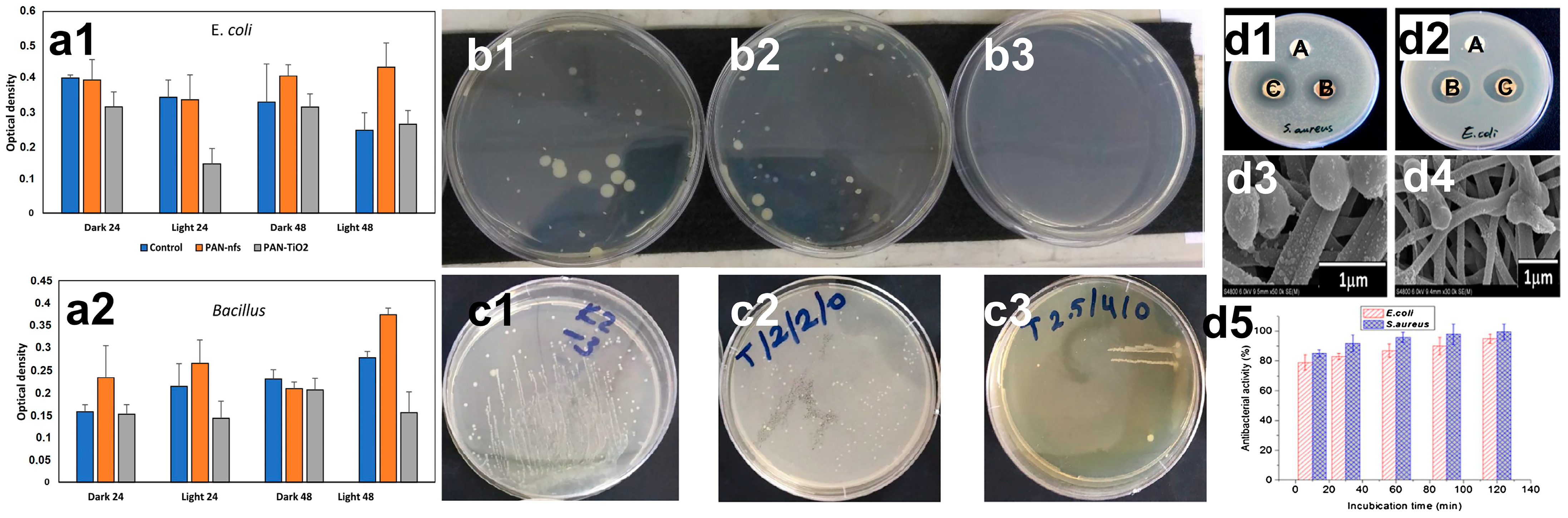Catalysts 13 00758 g013