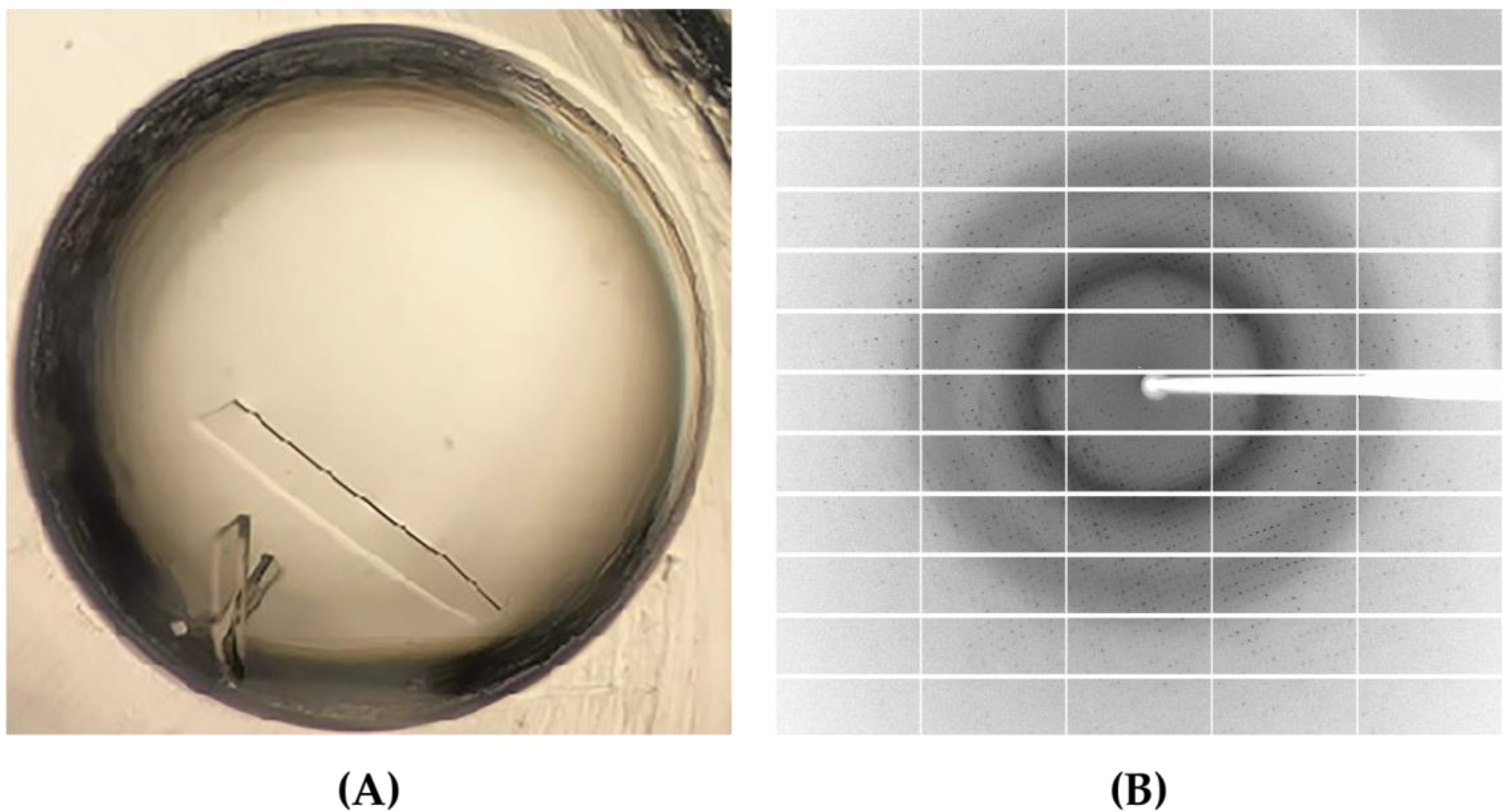 Catalysts 13 00759 g004 Catalysts 13 00759 g004