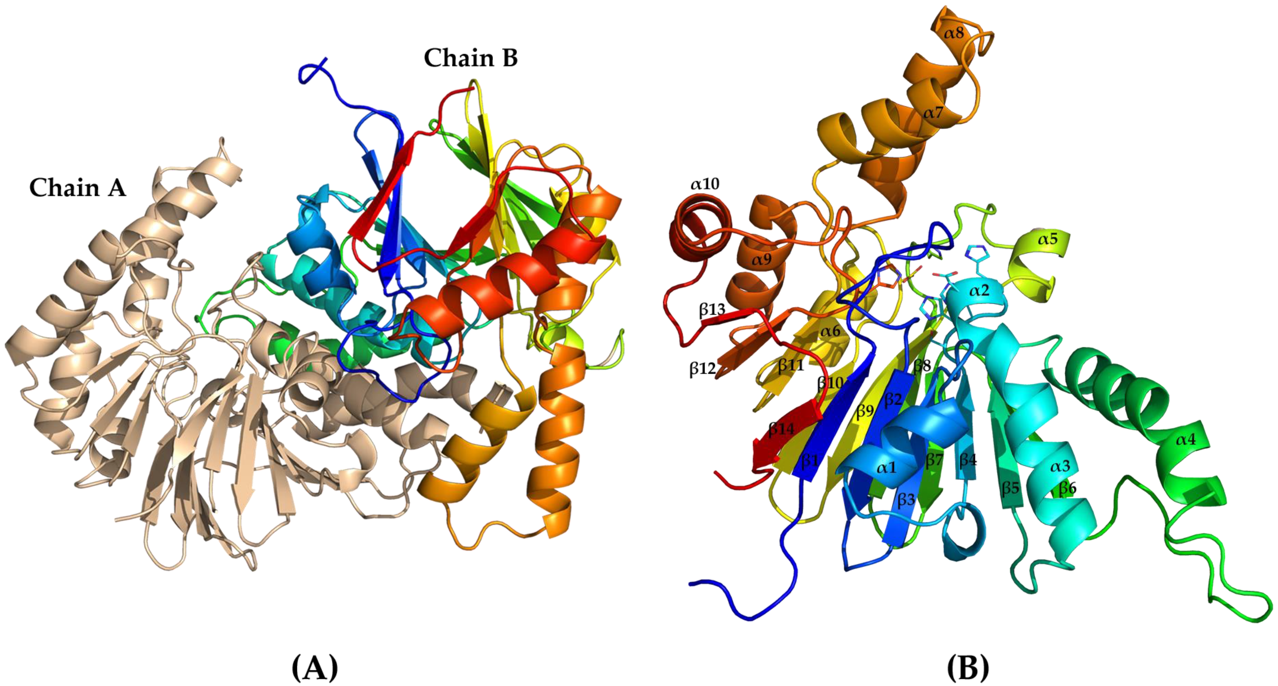 Catalysts 13 00759 g005