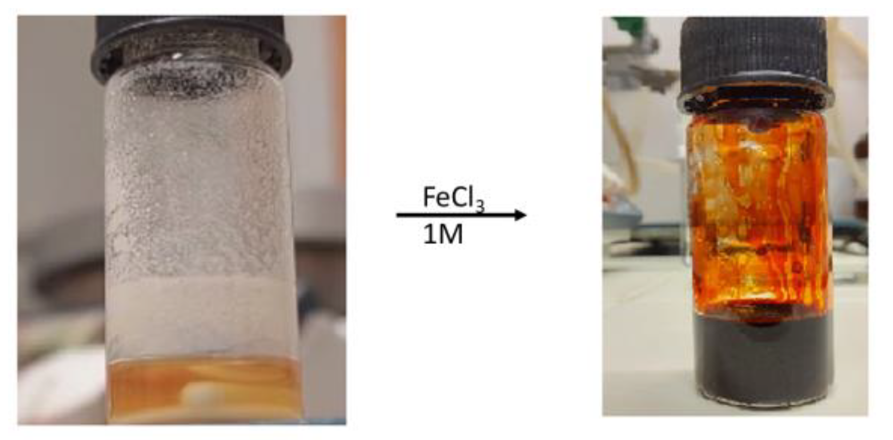 Catalysts 13 00760 g001