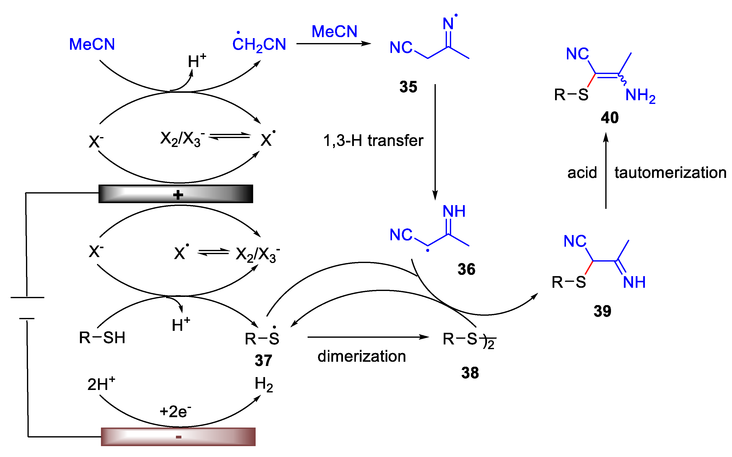 Catalysts 13 00761 sch013 Catalysts 13 00761 sch013