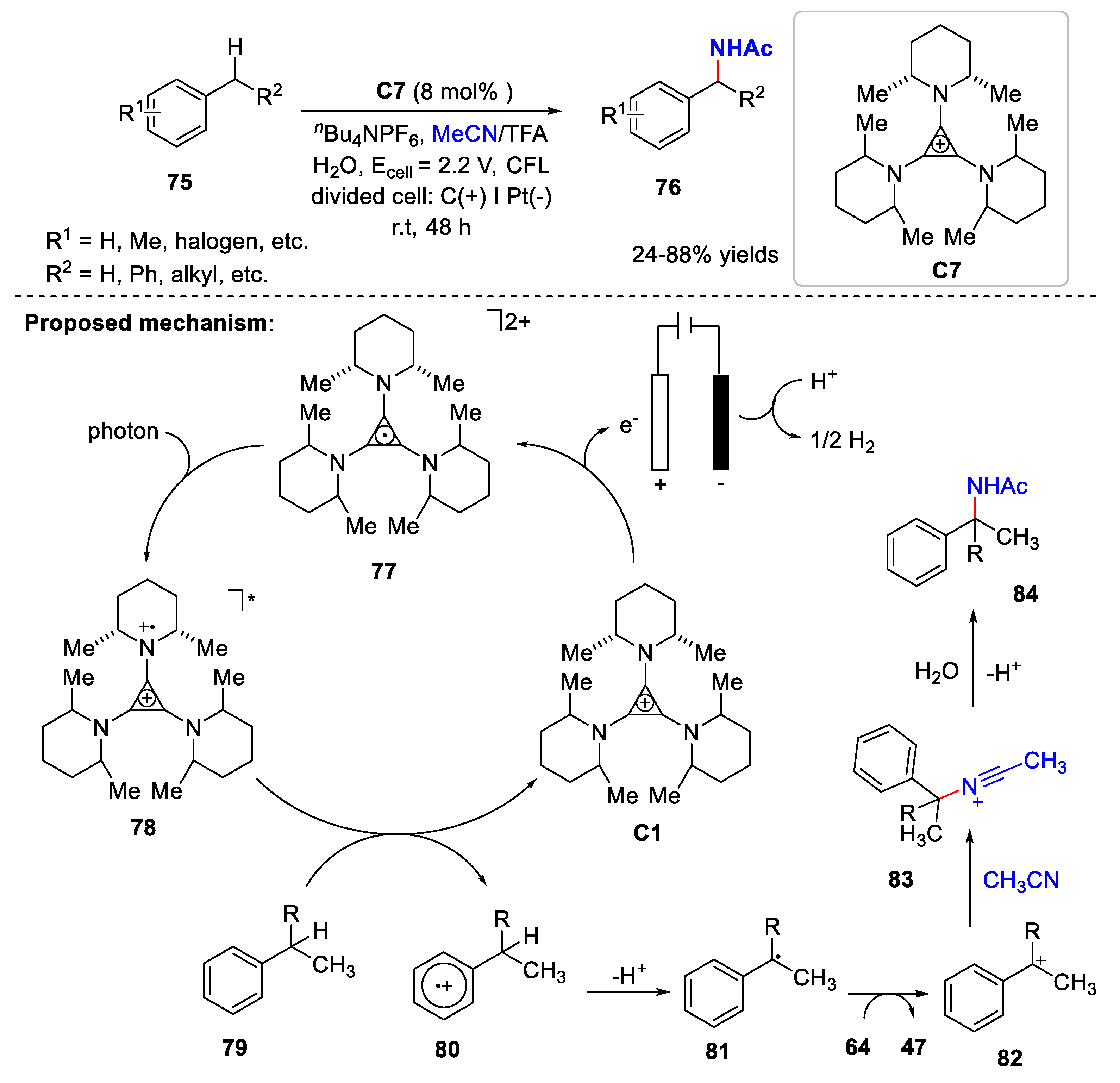 Catalysts 13 00761 sch019 Catalysts 13 00761 sch019