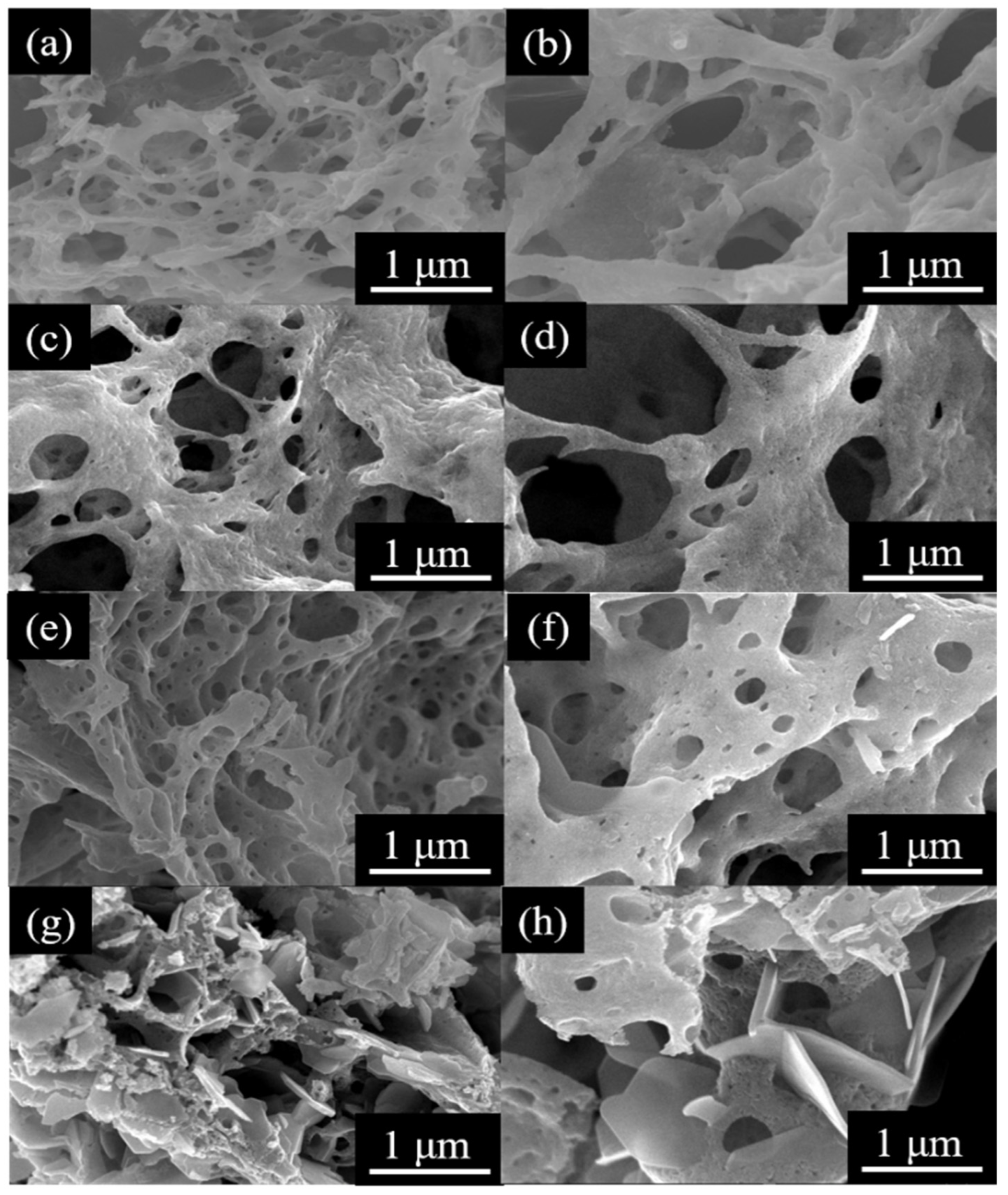 Catalysts 13 00762 g003