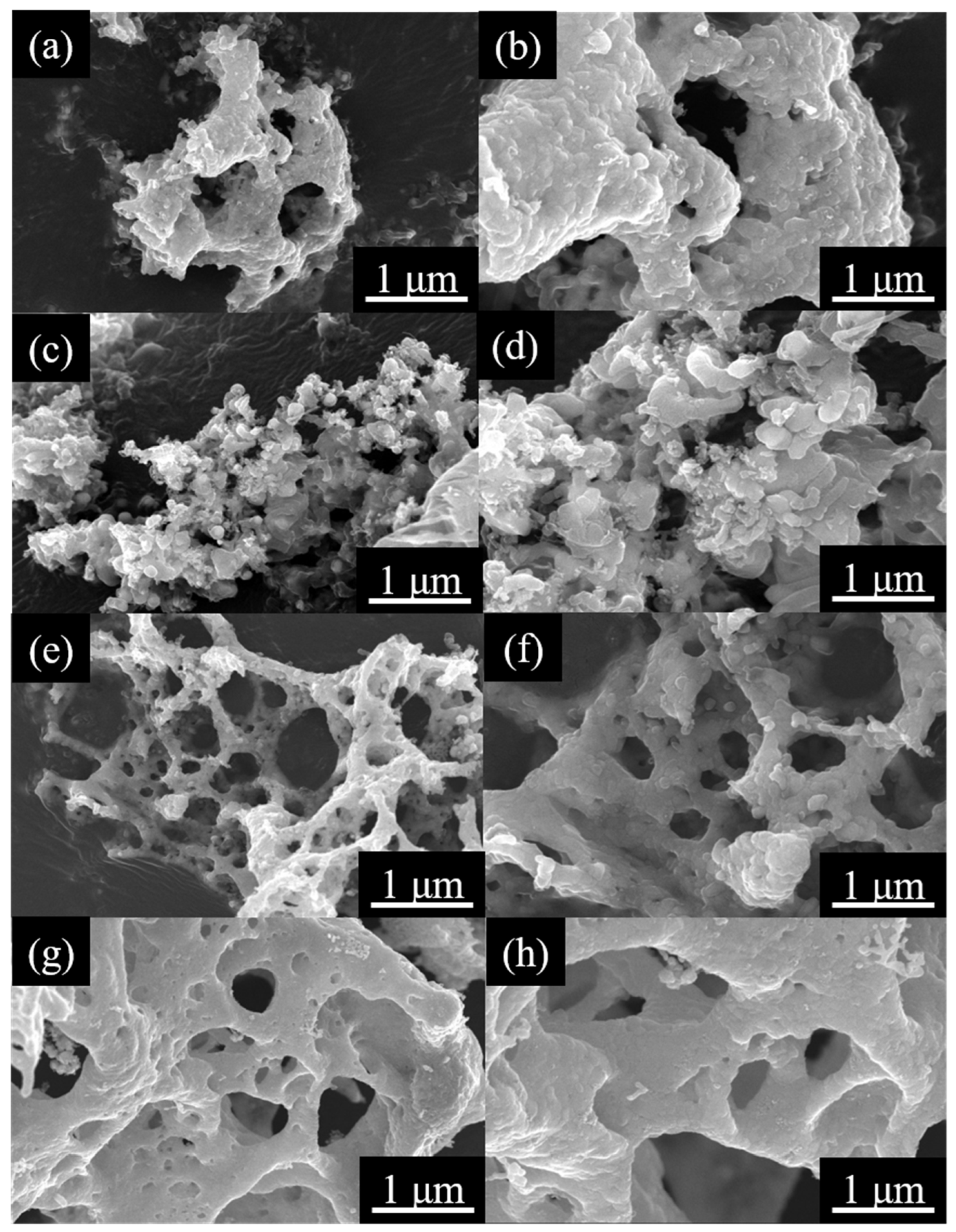 Catalysts 13 00762 g004