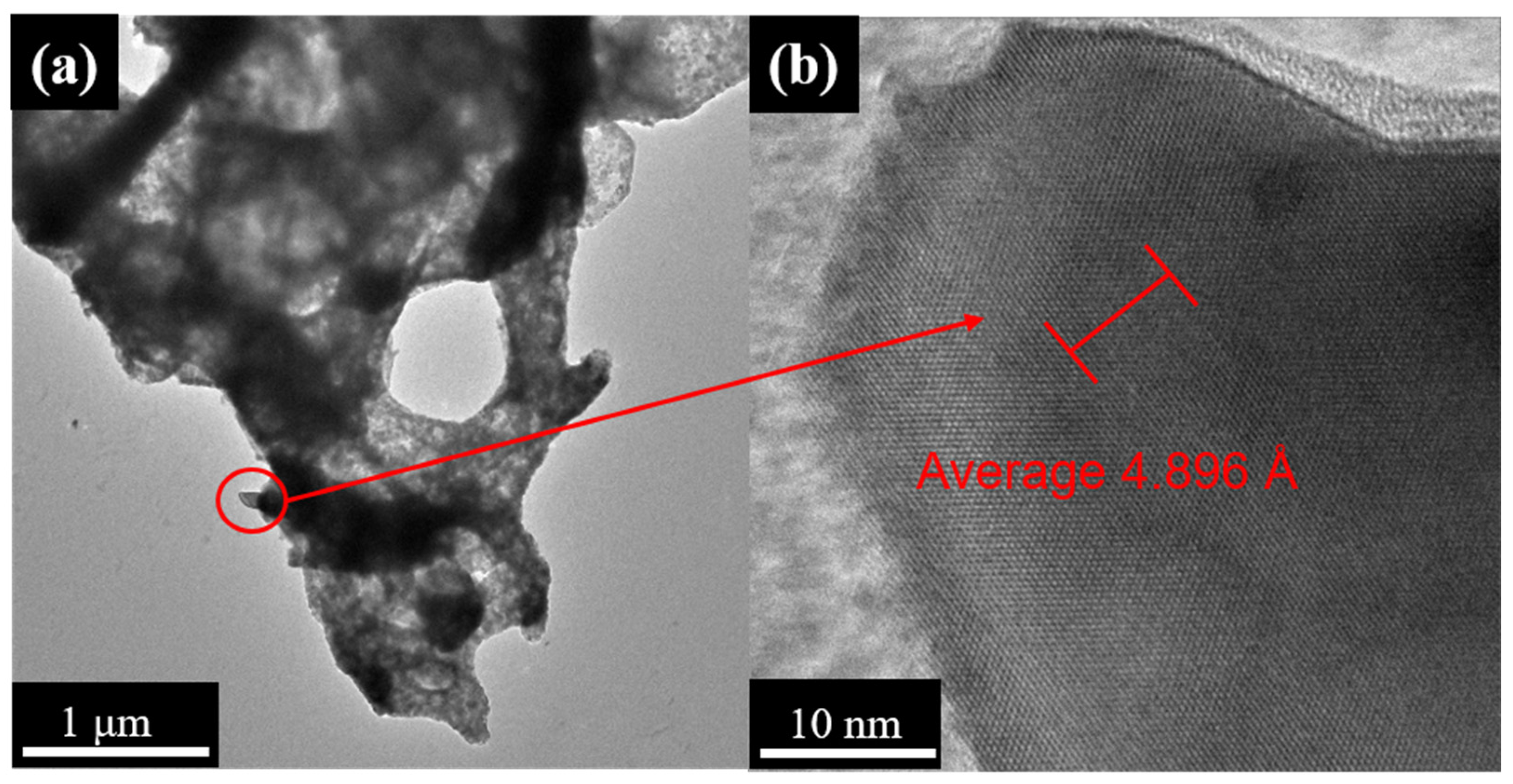 Catalysts 13 00762 g005