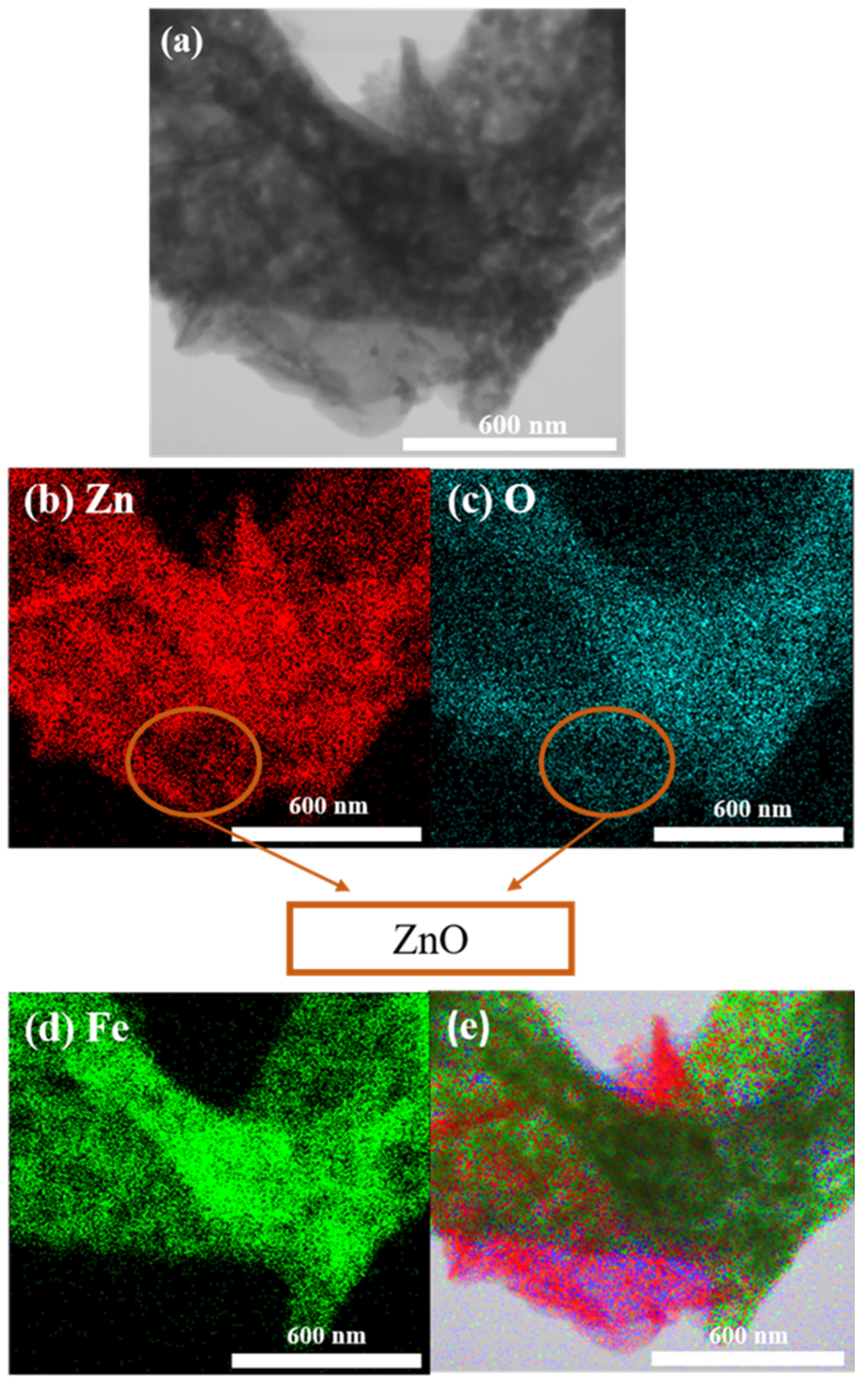 Catalysts 13 00762 g008