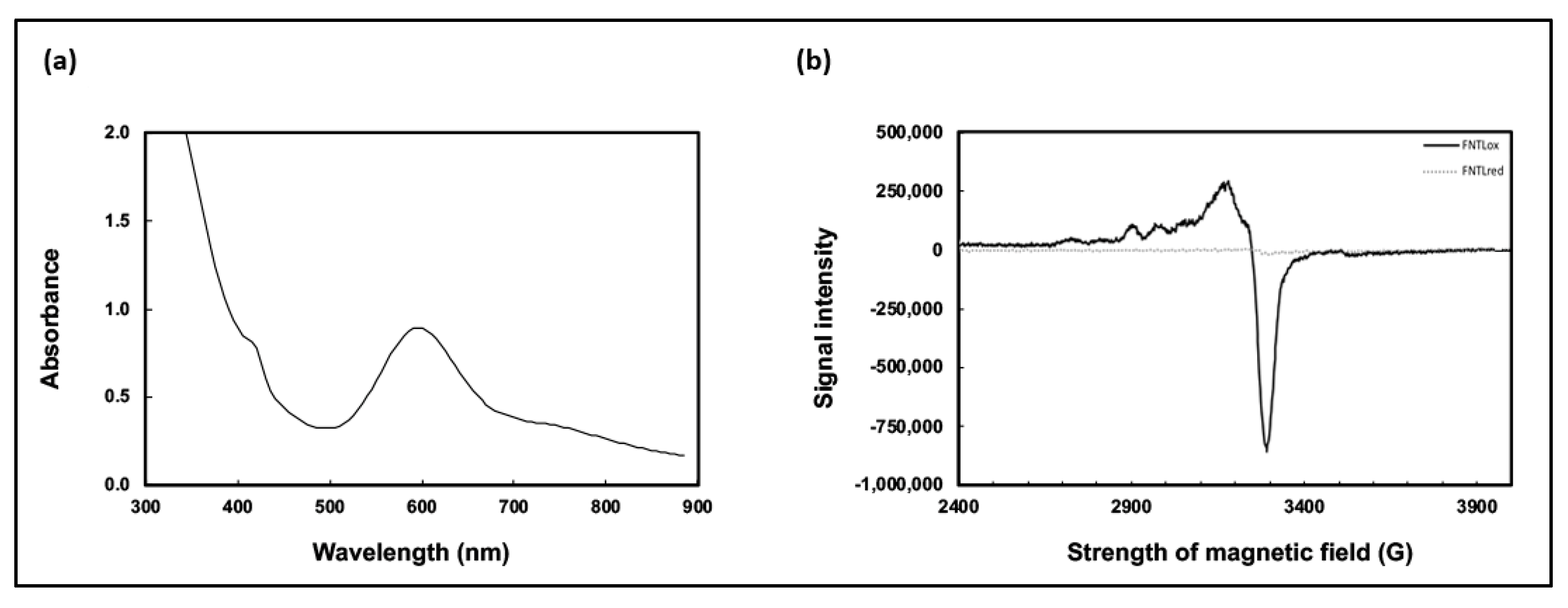 Catalysts 13 00763 g001