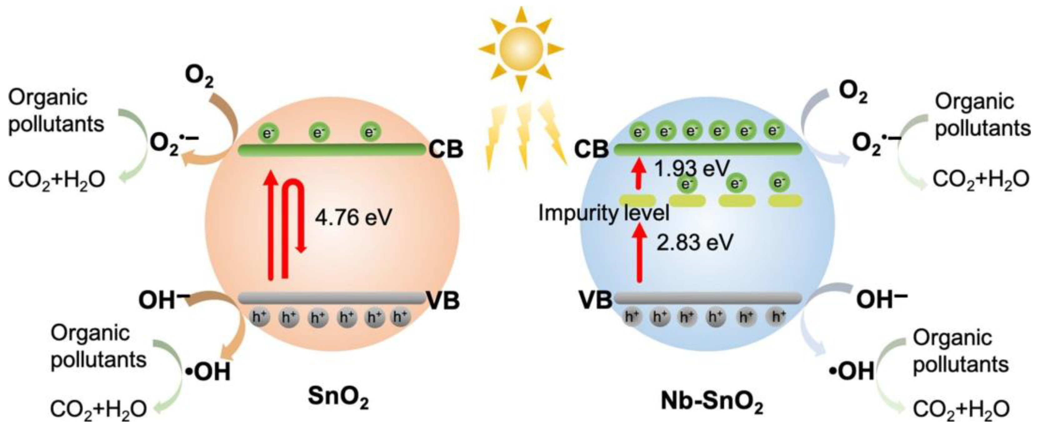 Catalysts 13 00765 g004