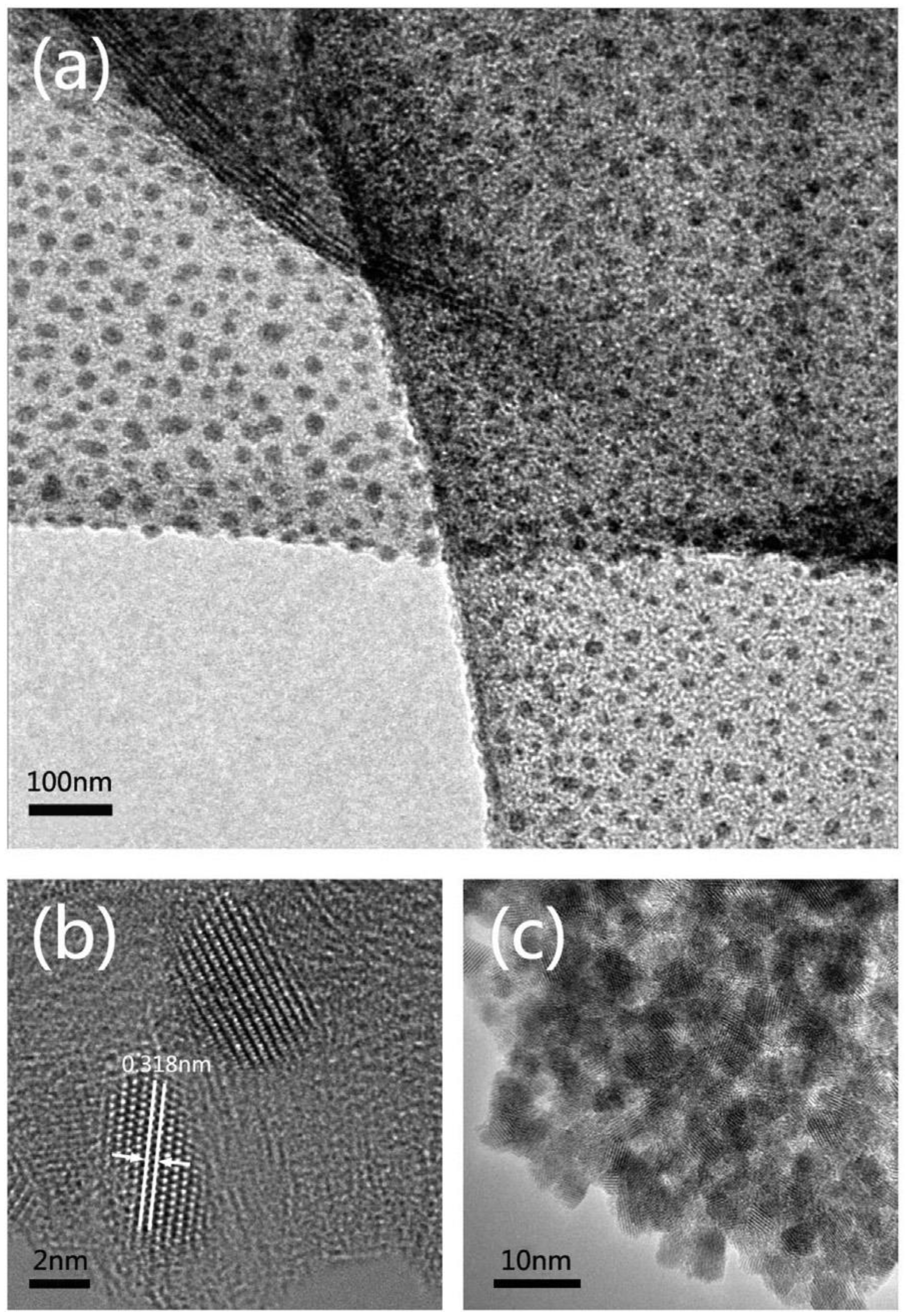Catalysts 13 00765 g006