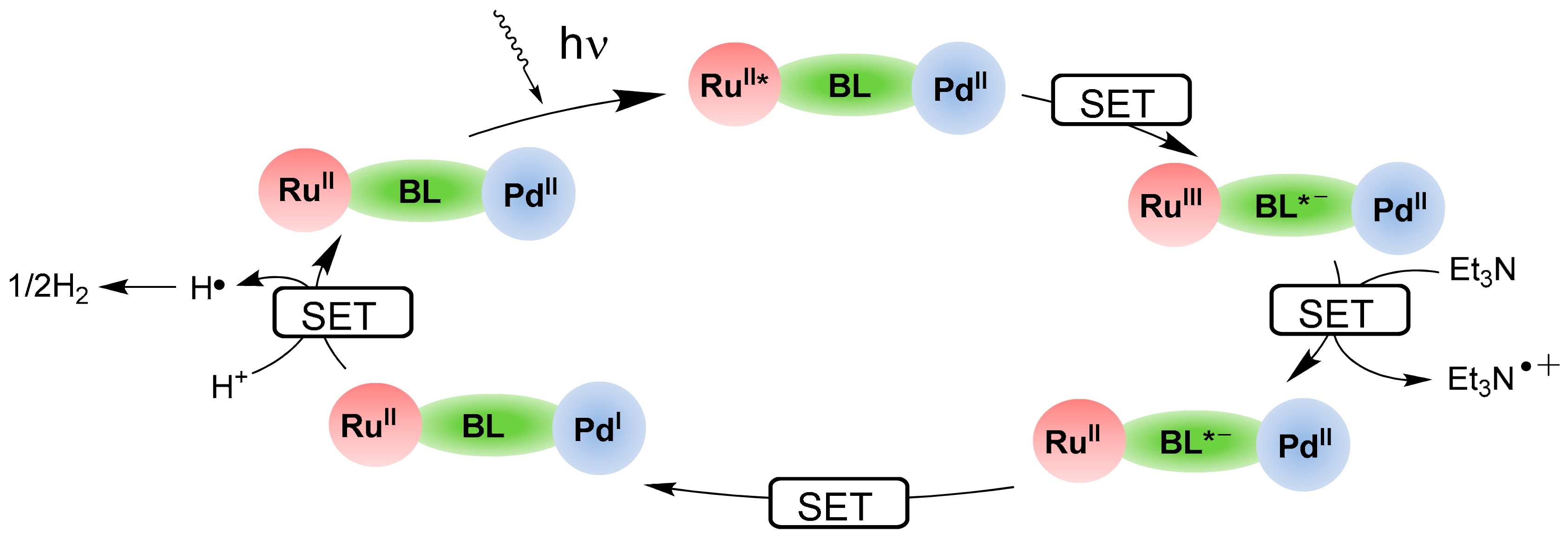 Catalysts 13 00768 sch002
