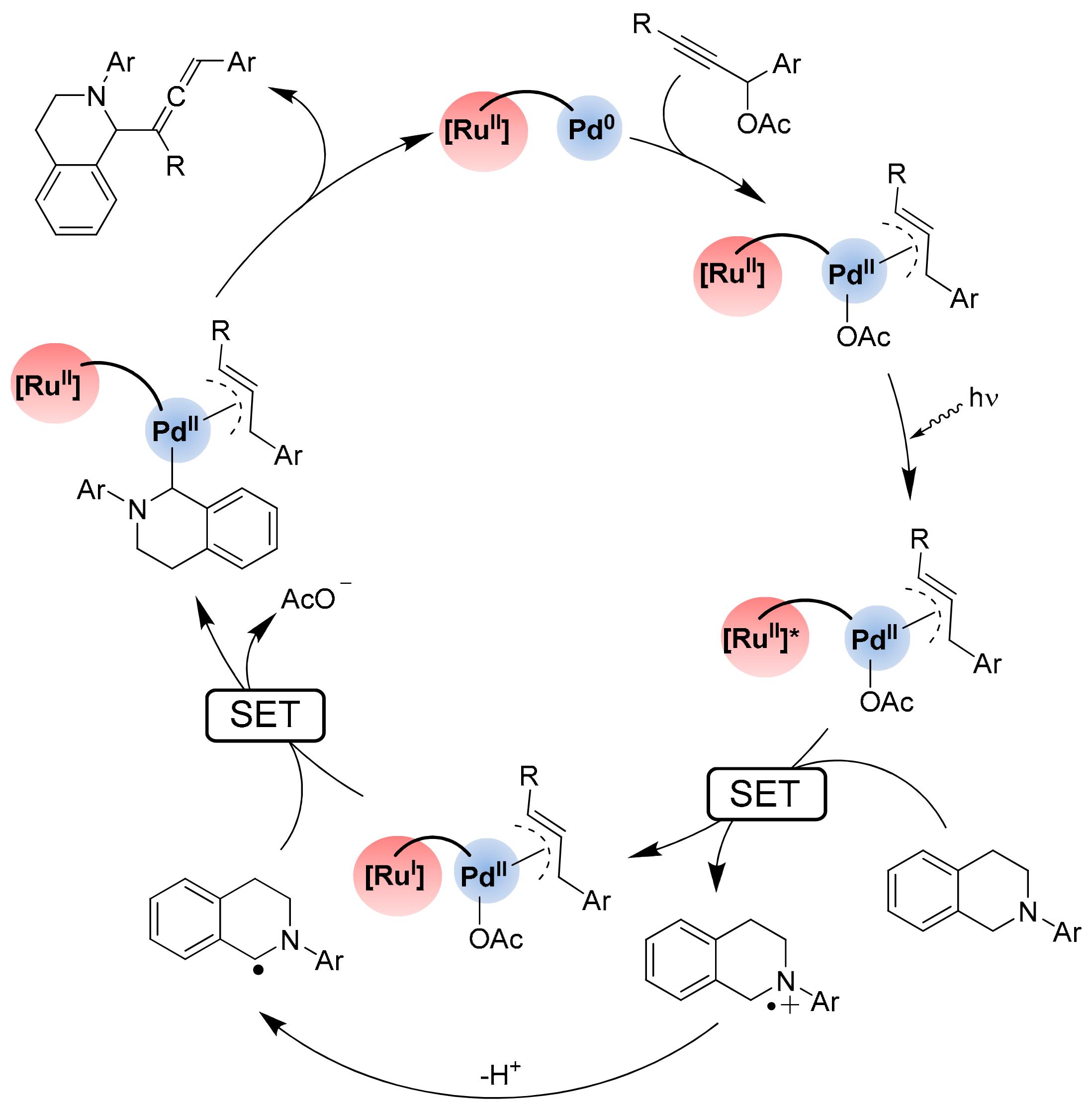 Catalysts 13 00768 sch010